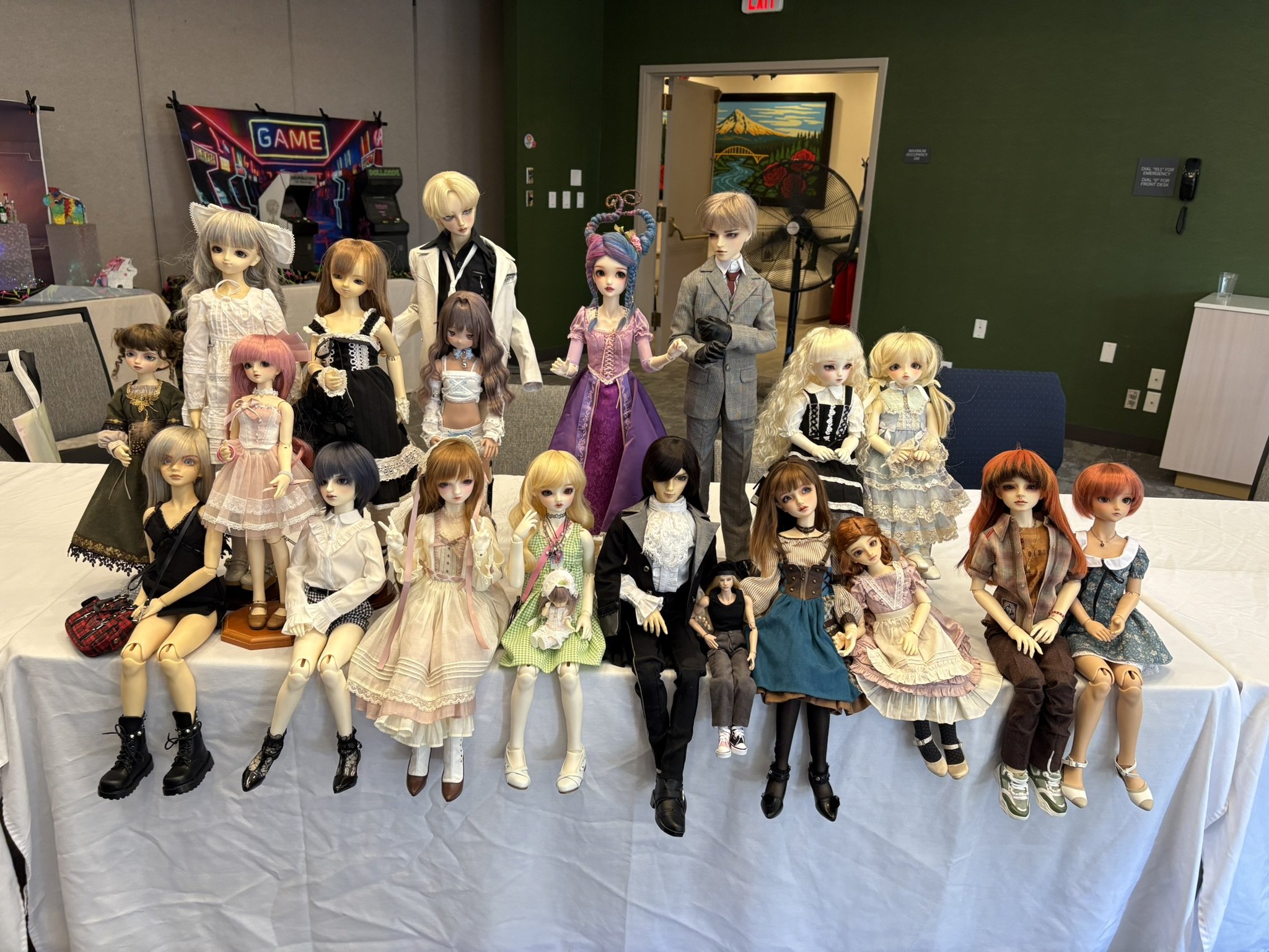 Volks Dollfies Ball Jointed Dolls at Resin Rose 2026