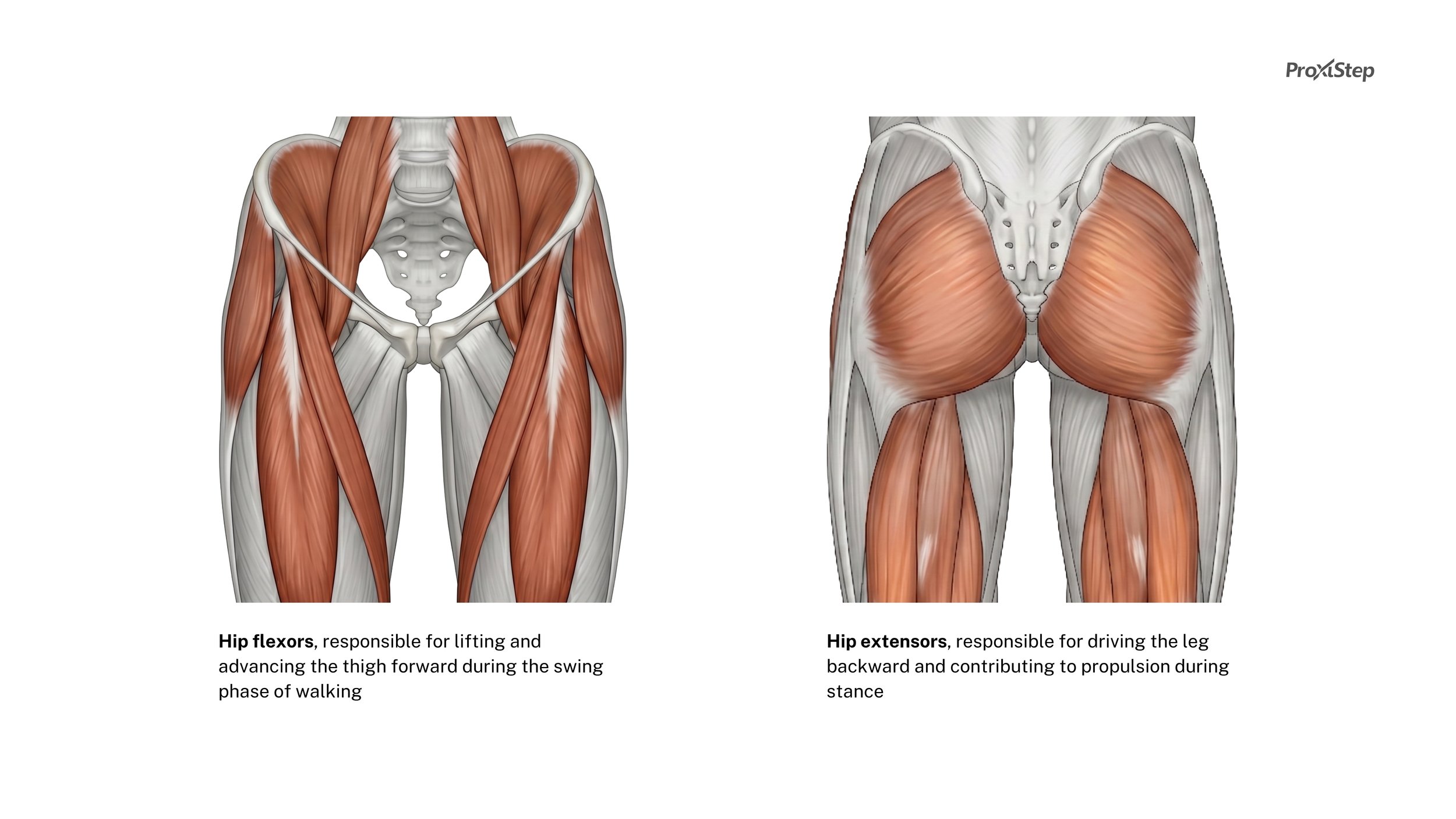 Thesis_Presentation_Monday (21).jpg