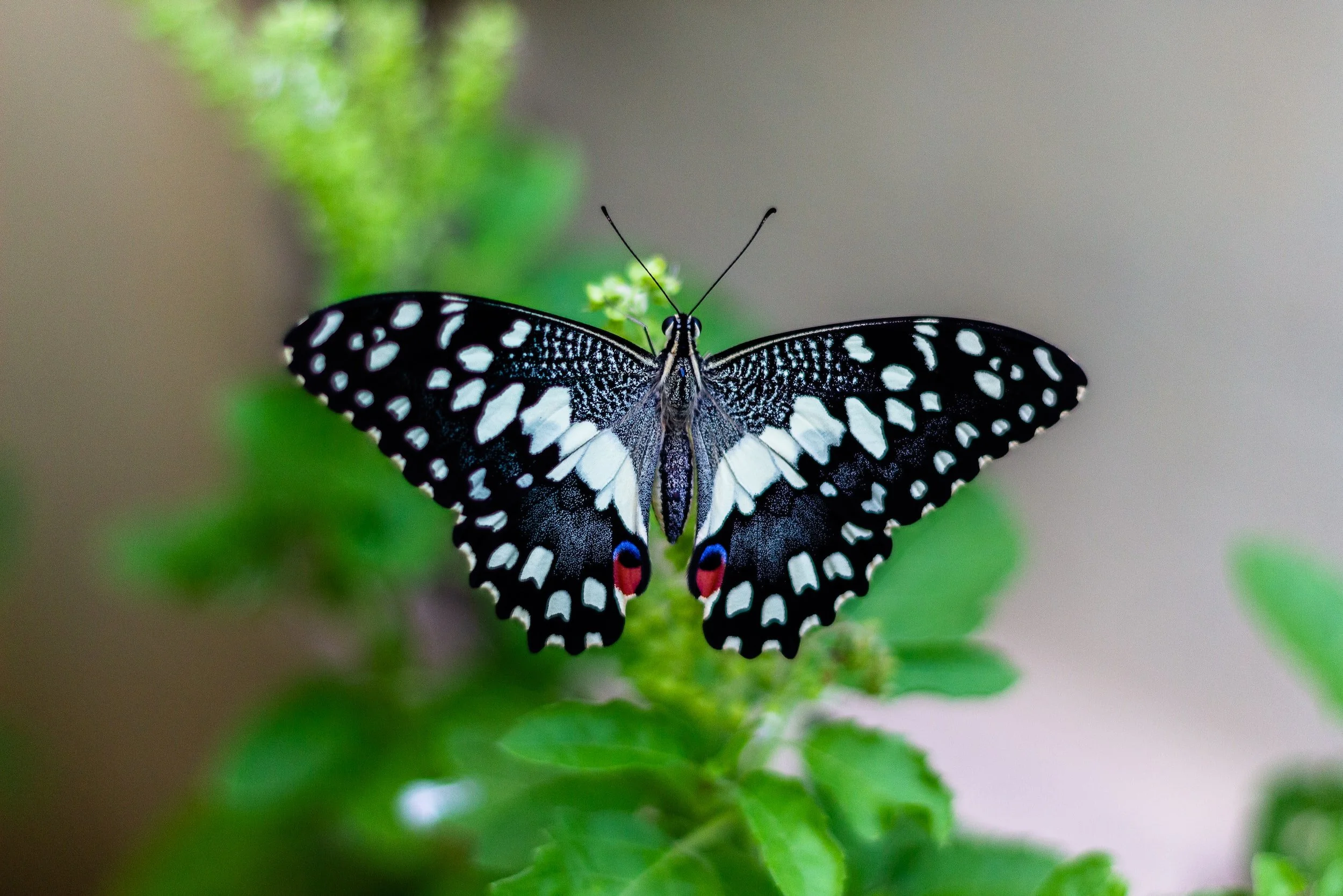 unsplash-image-PNXnfta-6-4.jpg