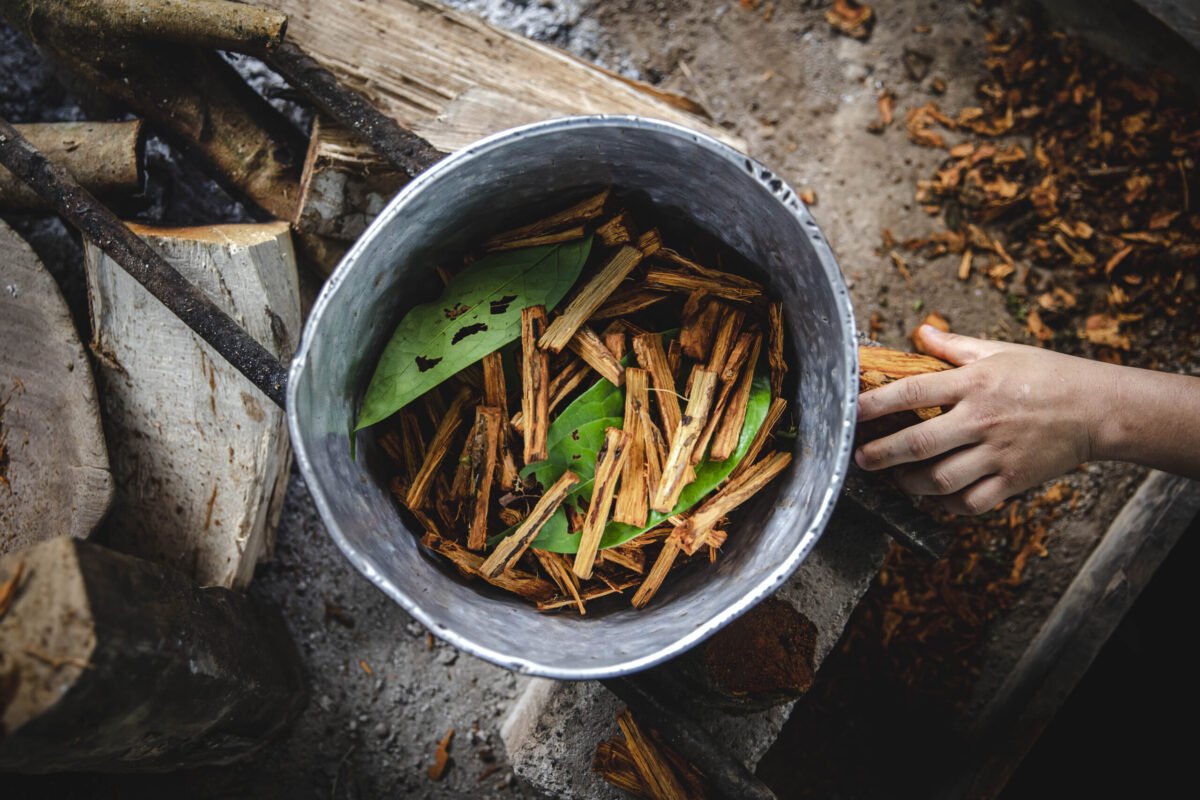 Plant Medicine & Psychedelics: Healing, Not Just High