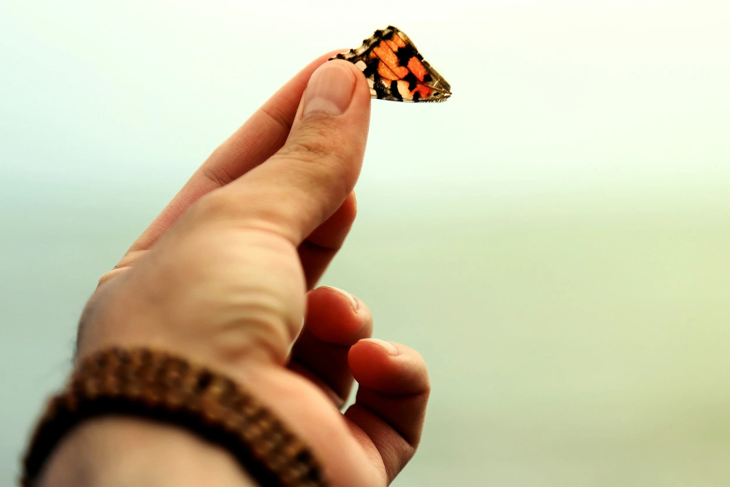 Why Finding the Right Practitioner Matters