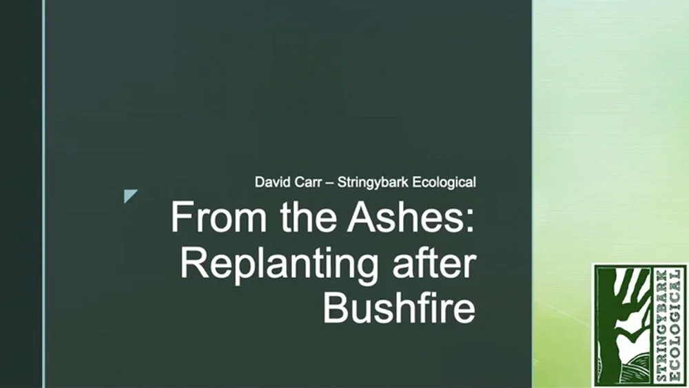 From The Ashes: Replanting After Bushfire