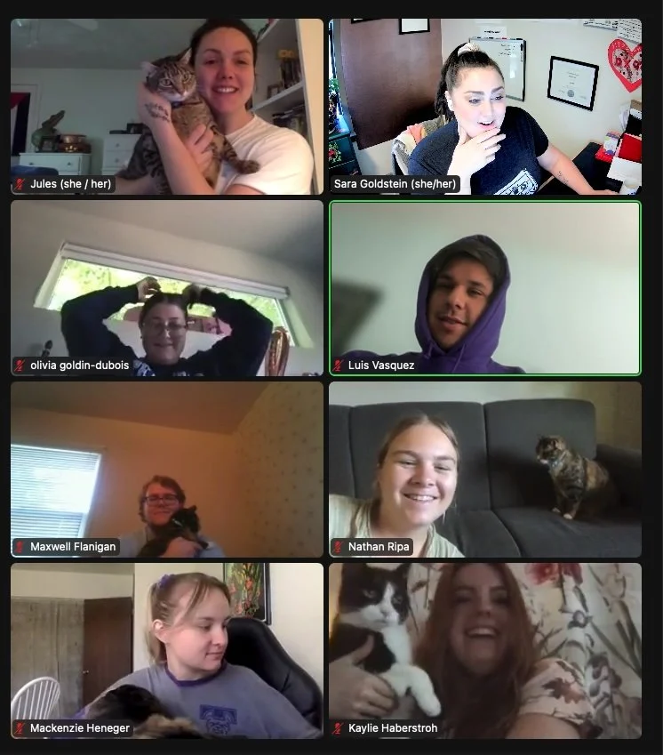 Kinship coaches and participants show each other their cats over Zoom.