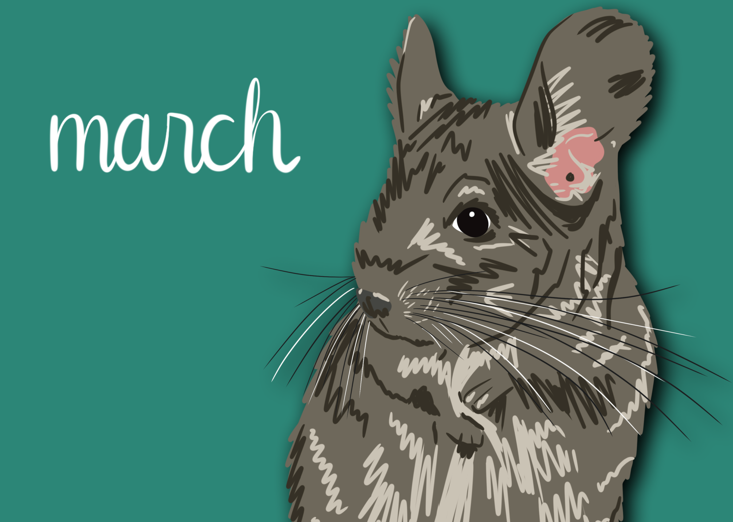 March Spotlight: Karla