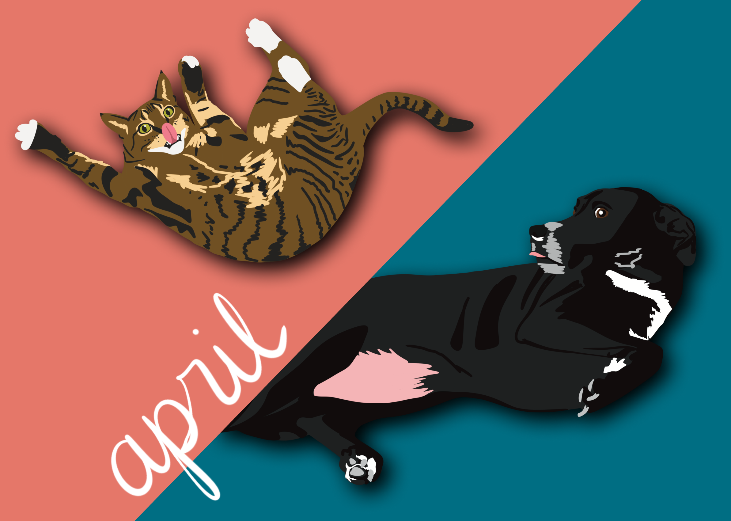 April Spotlight: Basil &amp; Bucky