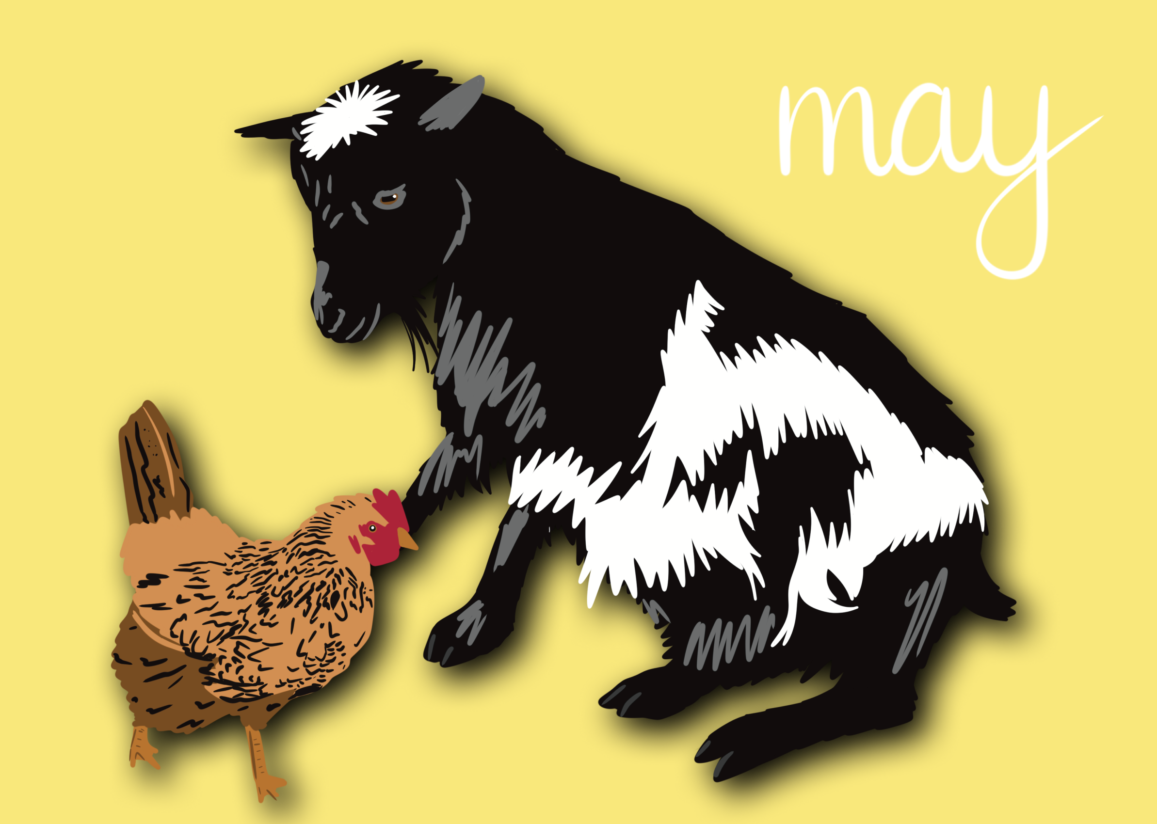 May Spotlight: Wesley &amp; Chicken