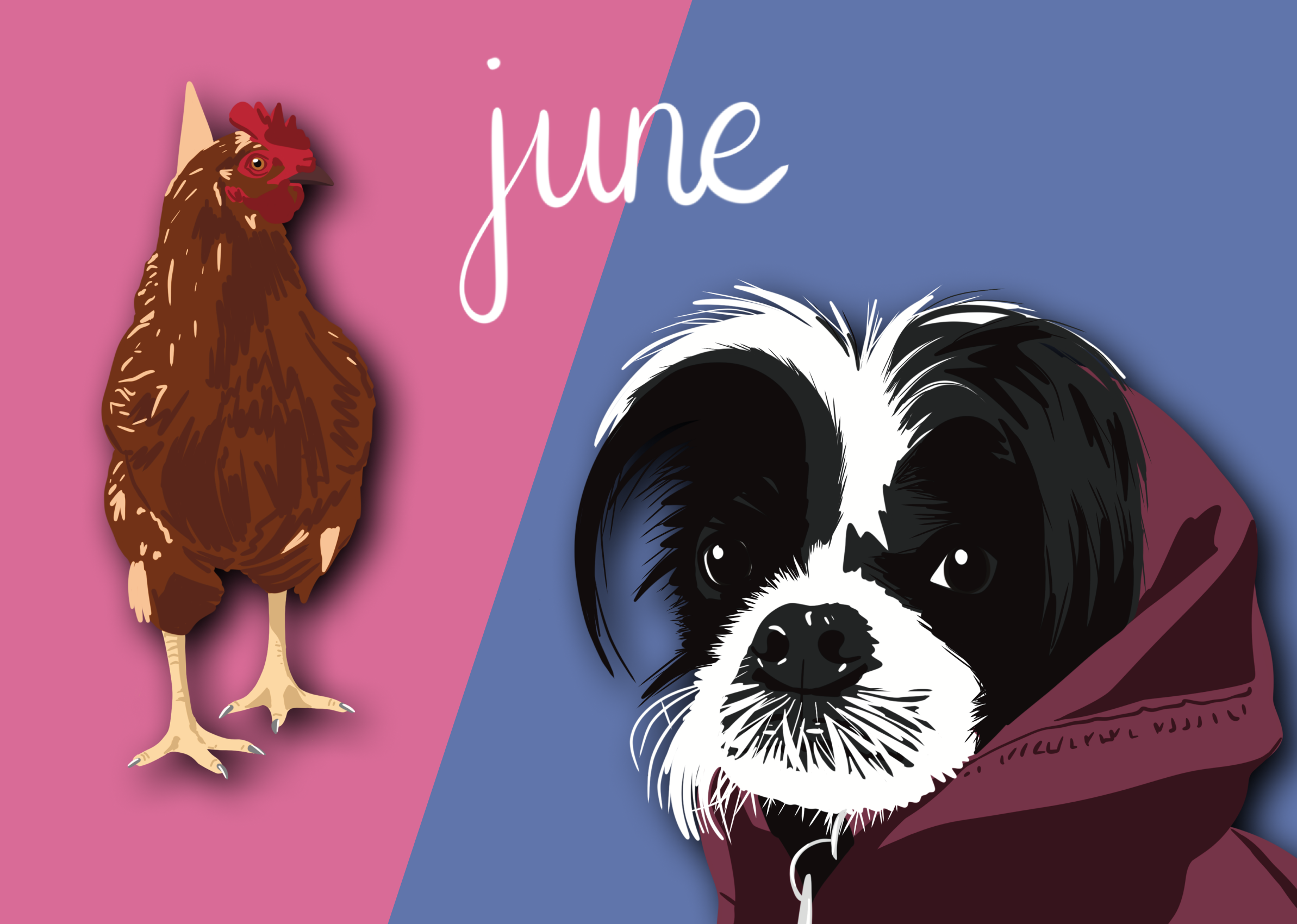 June Spotlight: Queenie &amp; Moxie