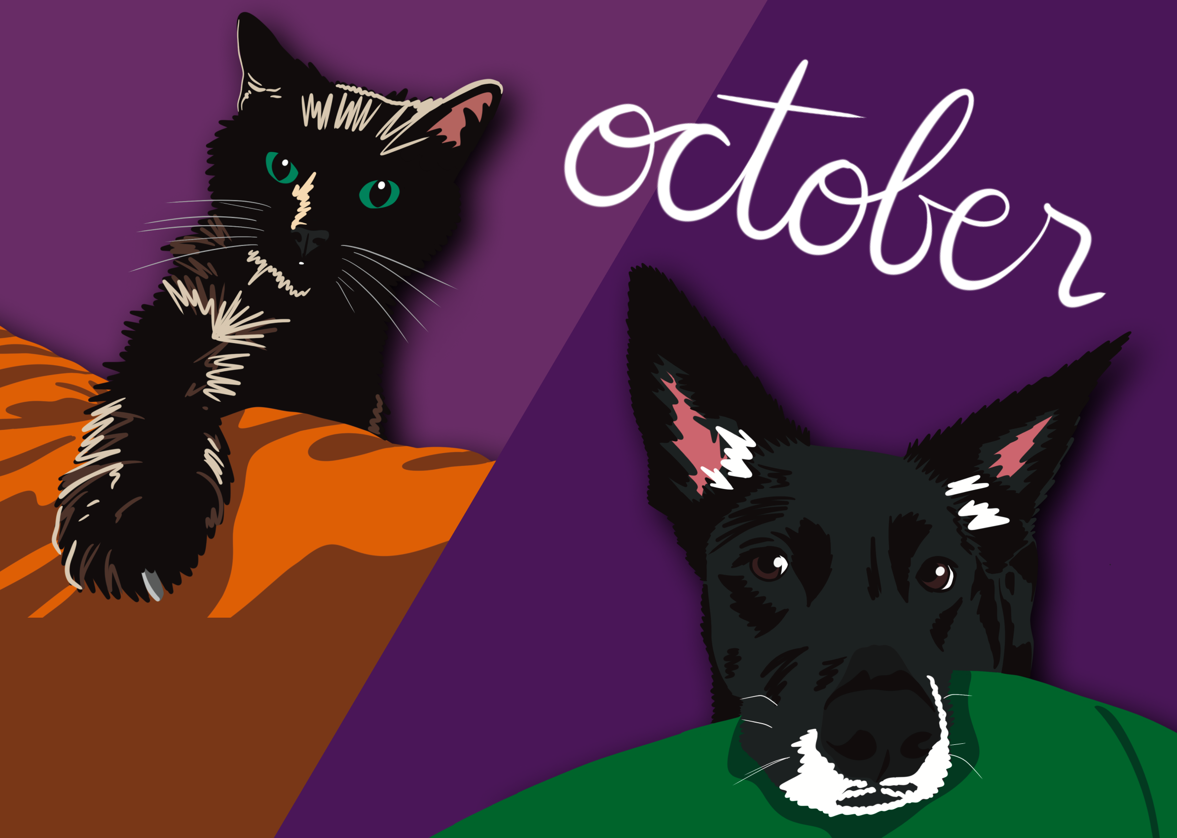 October Spotlight: Kevin &amp; Sloan
