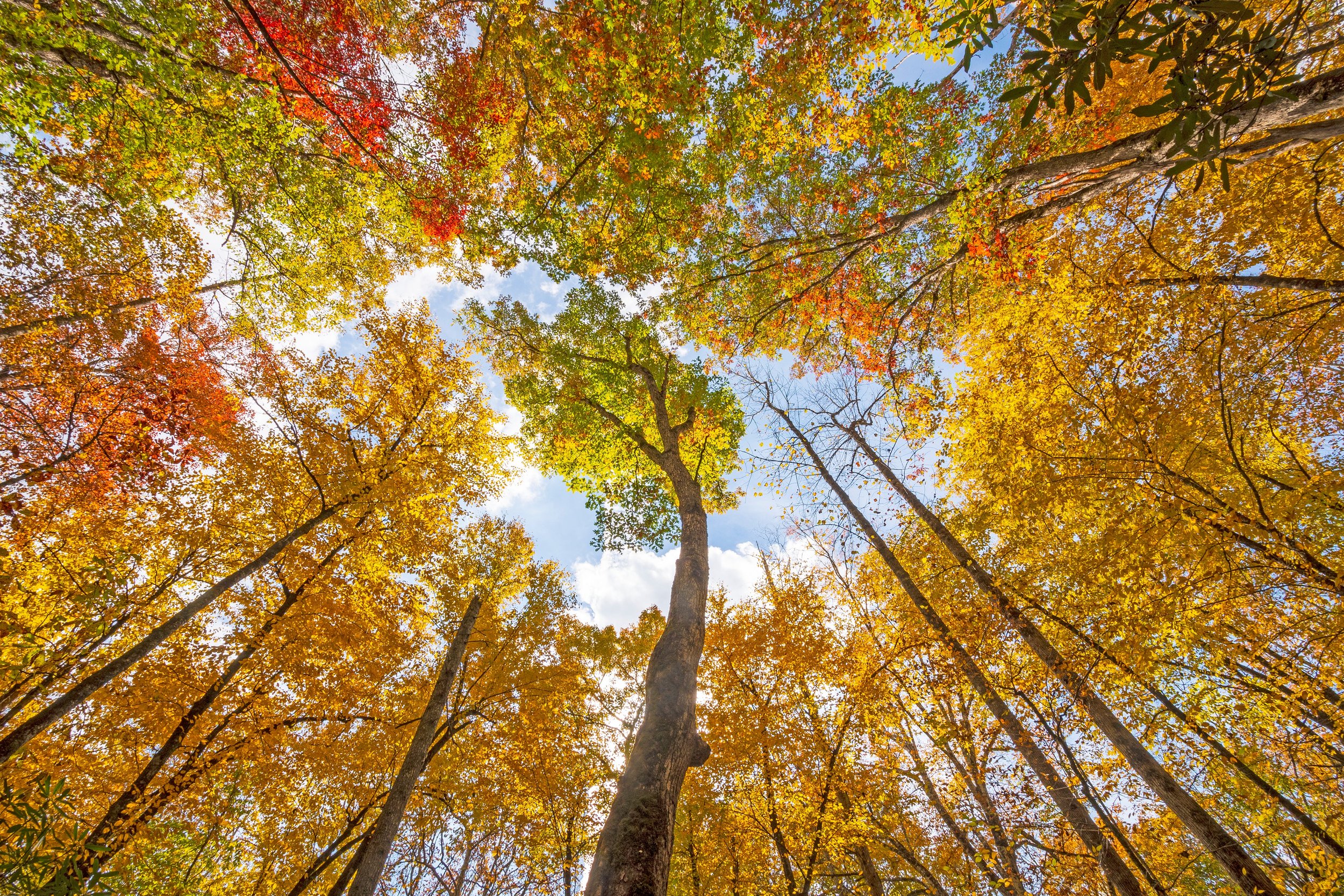 5 fall weekend getaways in the Midwest for 2022