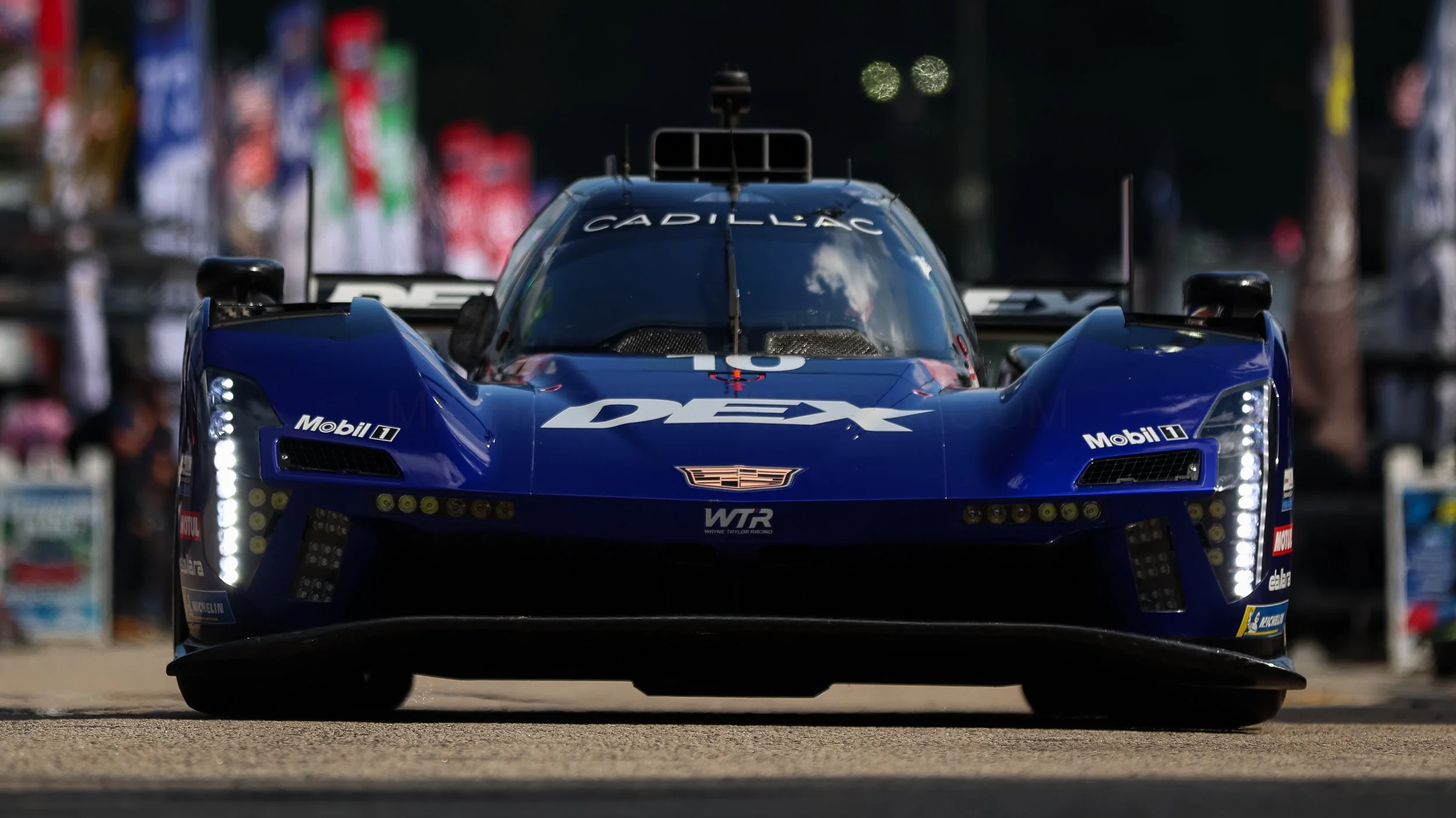 1V5A6103.jpg