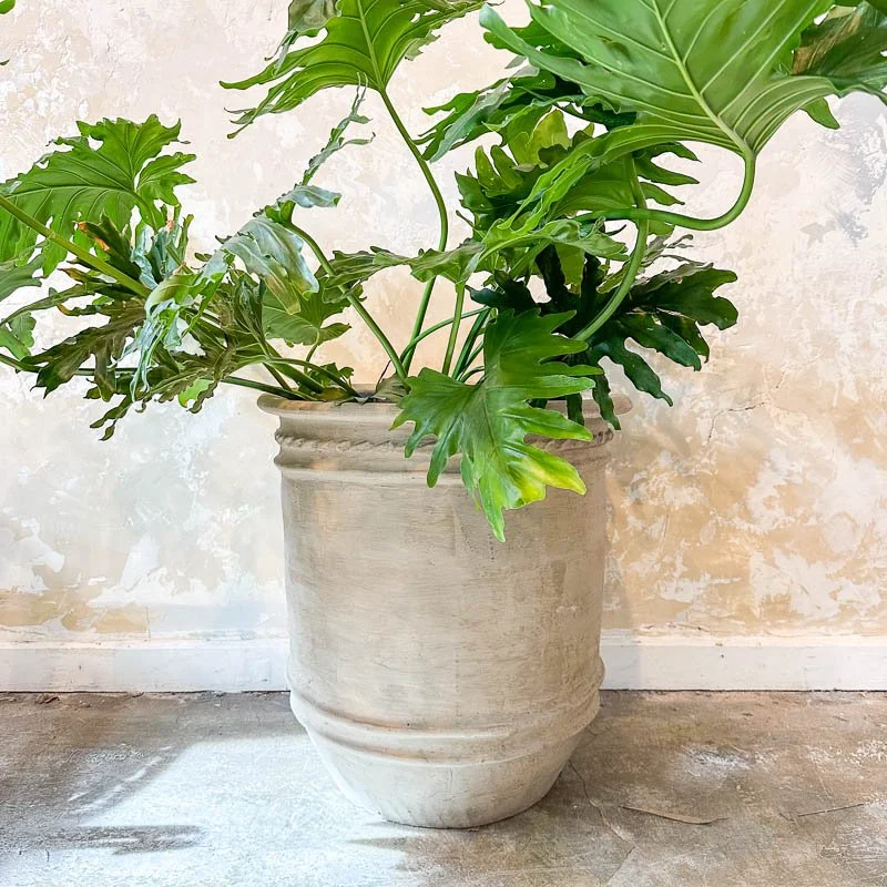 marigold-interiors-large-pot-in situ.jpg