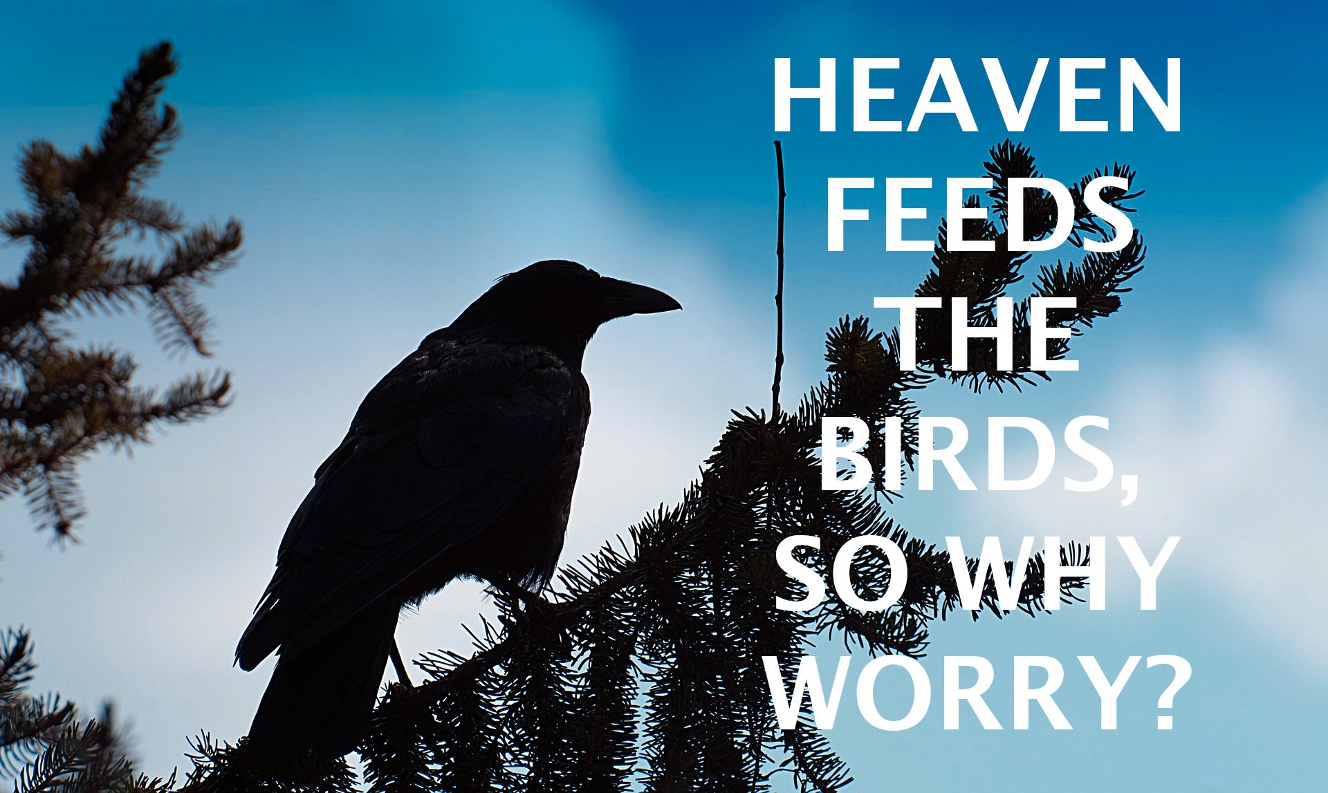 Consider the Ravens