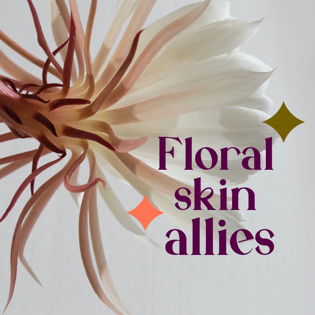 💐As the snow thaws, I'm dreaming of floral allies 🌸

Here are a few of my favourites to use topically on the skin: 

🌼Chamomile: Calms redness, soothes inflammation, lightly astringent for sensitive and acne-prone skin 

🌻Calendula: Wound healing
