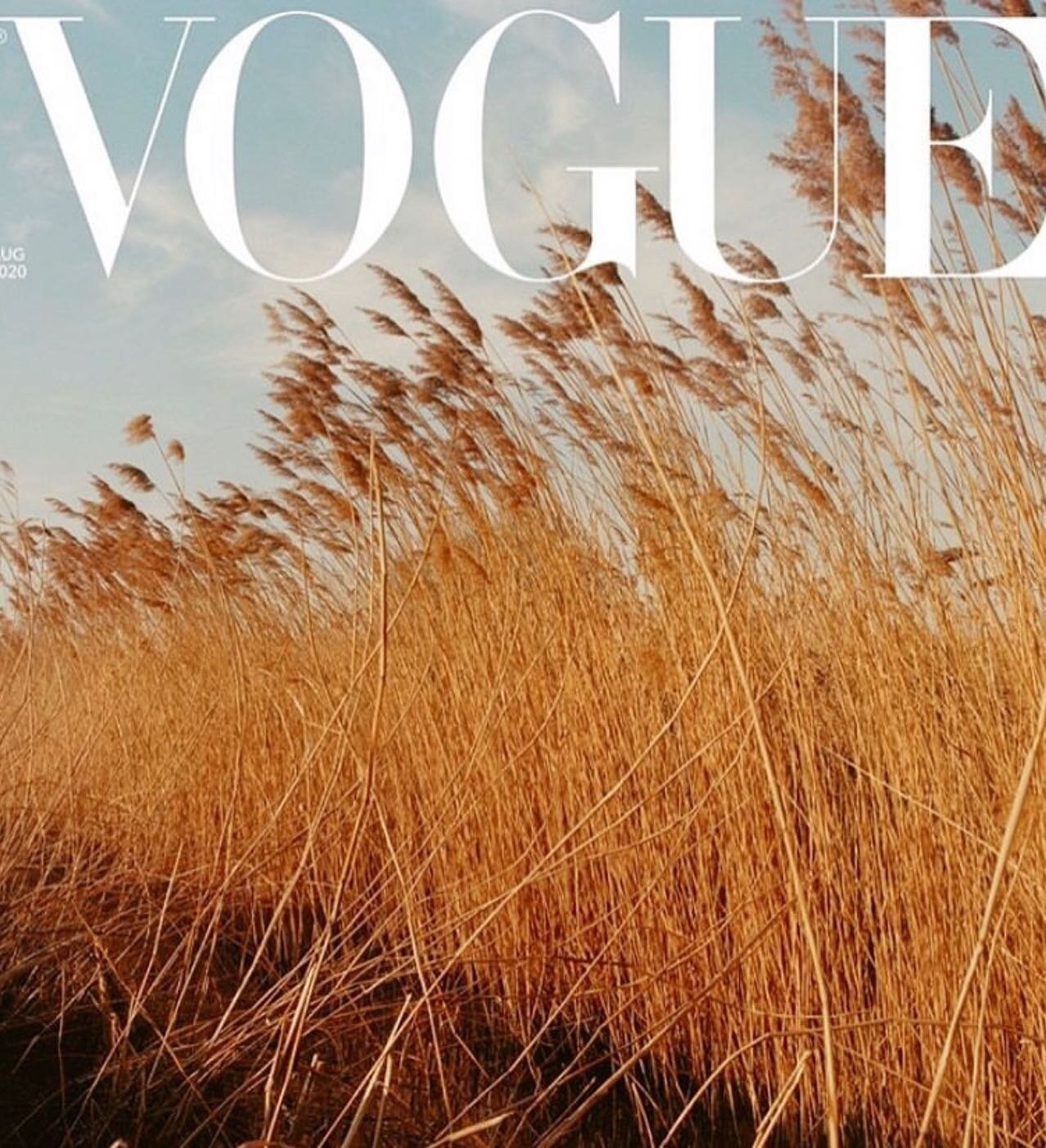 this @britishvogue august 2020 cover has us dreaming of golden wheat fields 🌾 captured on camera by #JamieHawkesworth 📷

#wheatfield #interiordesign #bedboards #bedhead #bedroomdecor