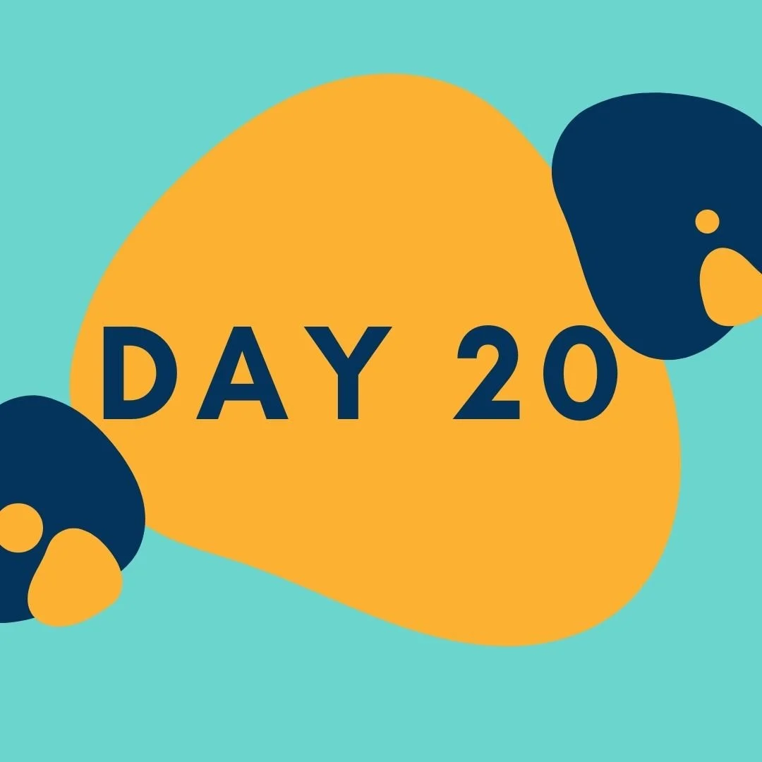 Day 20.