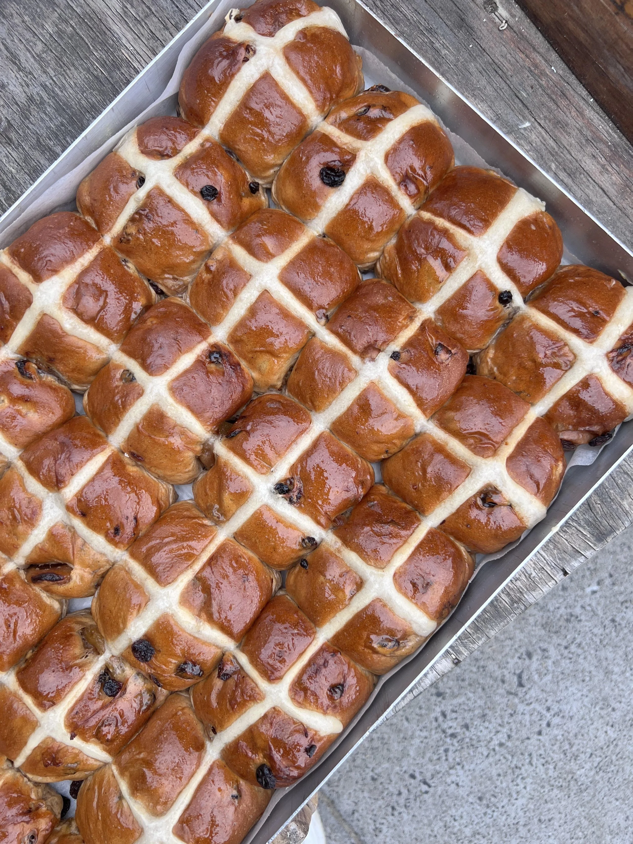 Hot Cross Bun.jpg
