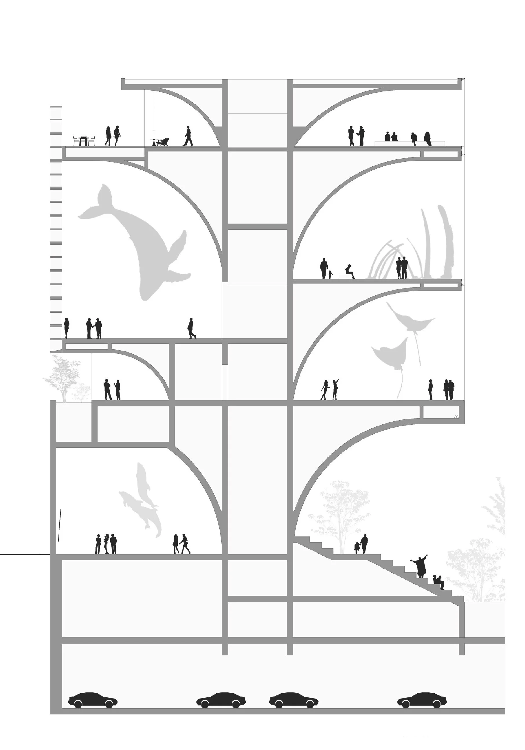 Deep Sea Musuem  Section.jpg