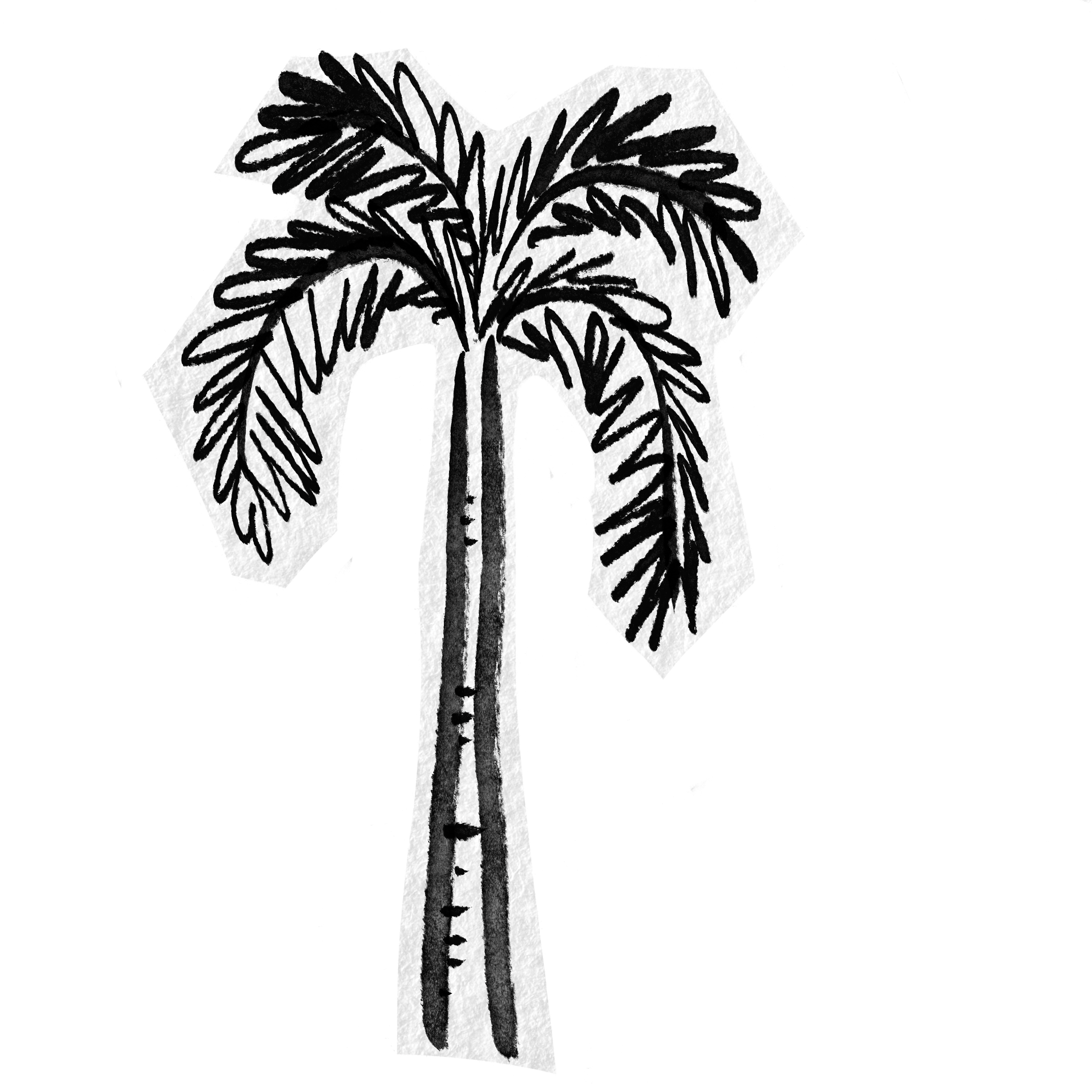 Palm sticker.png