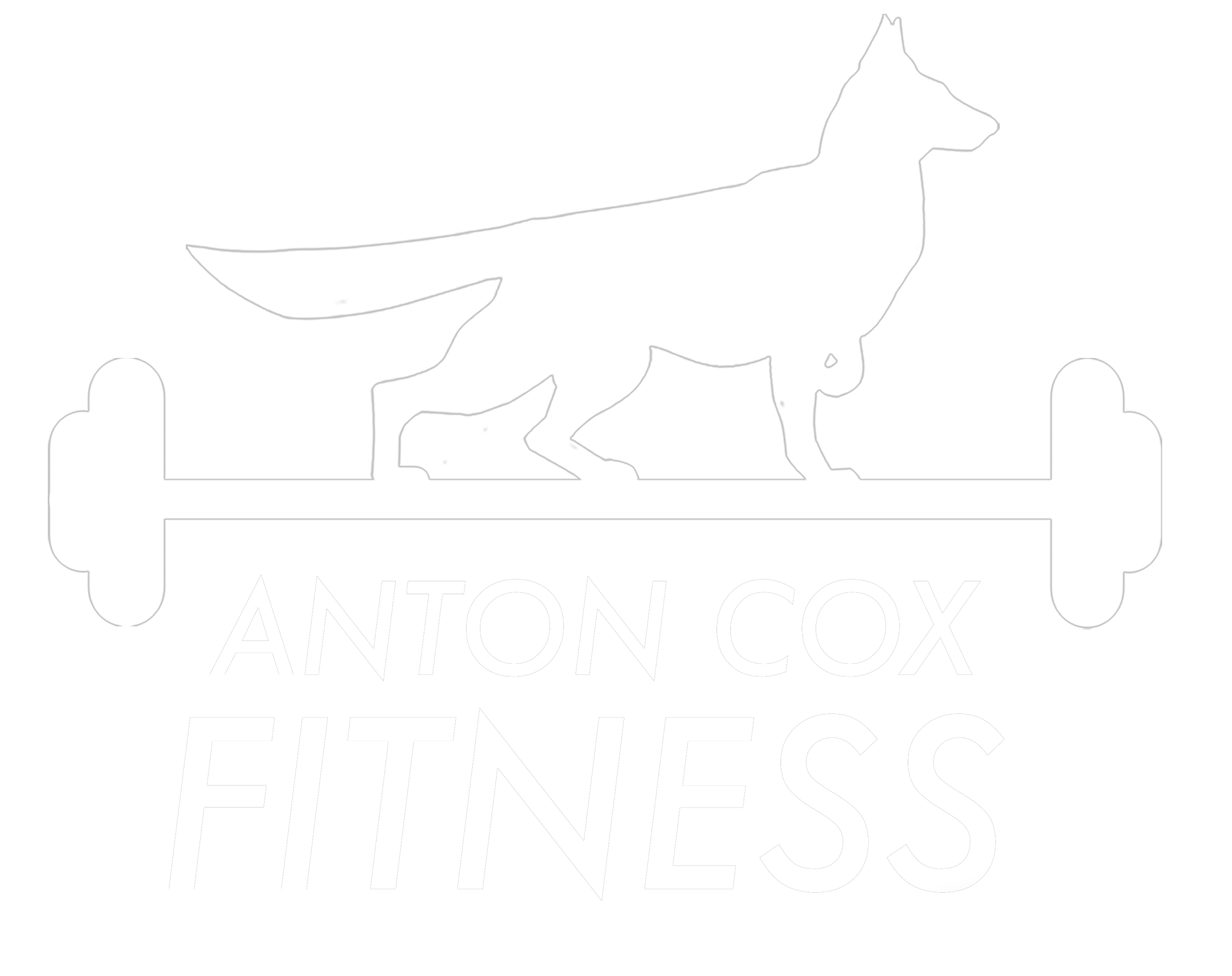 ACF Logo_ White PNG.png