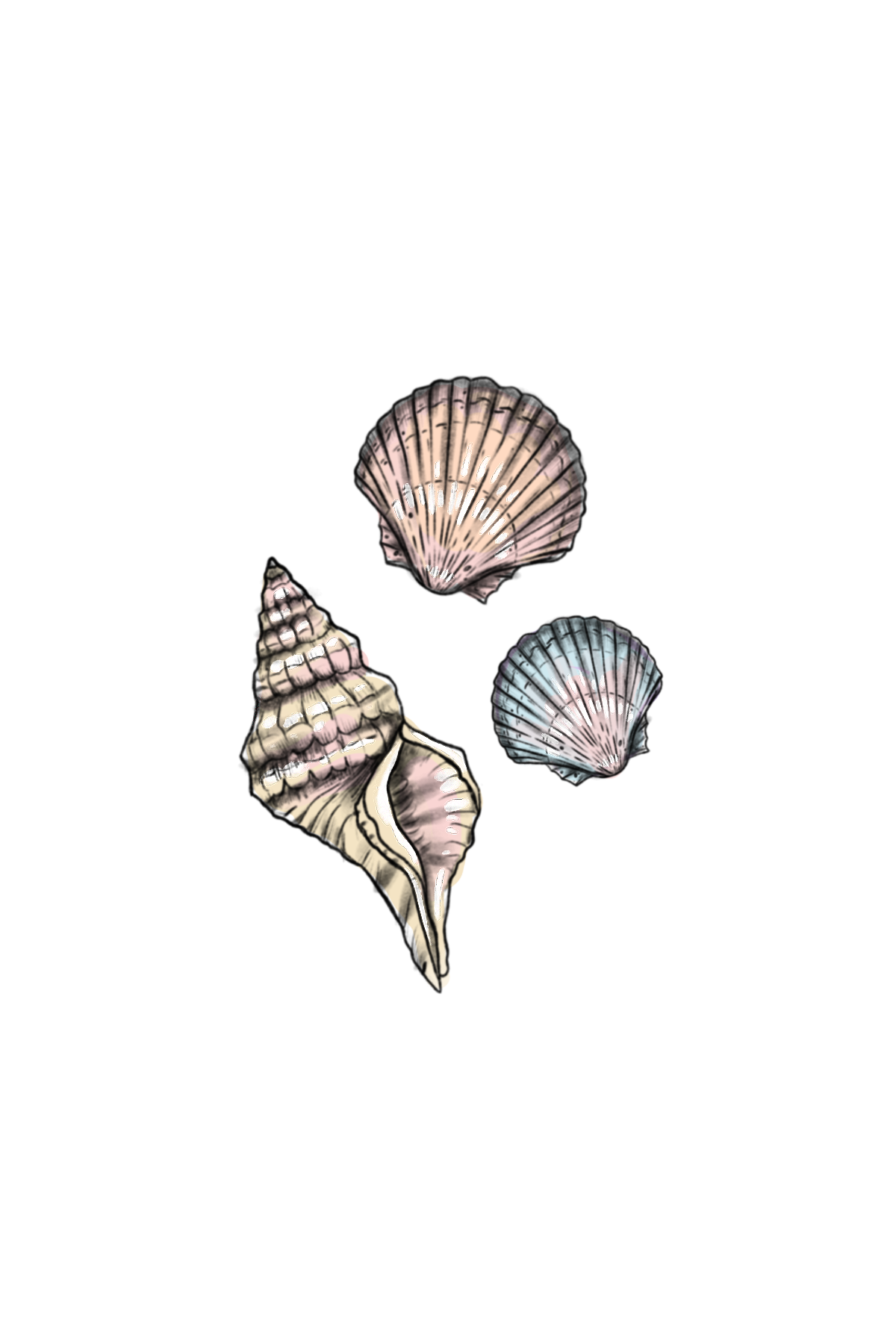 Untitled_Artwork 10.png