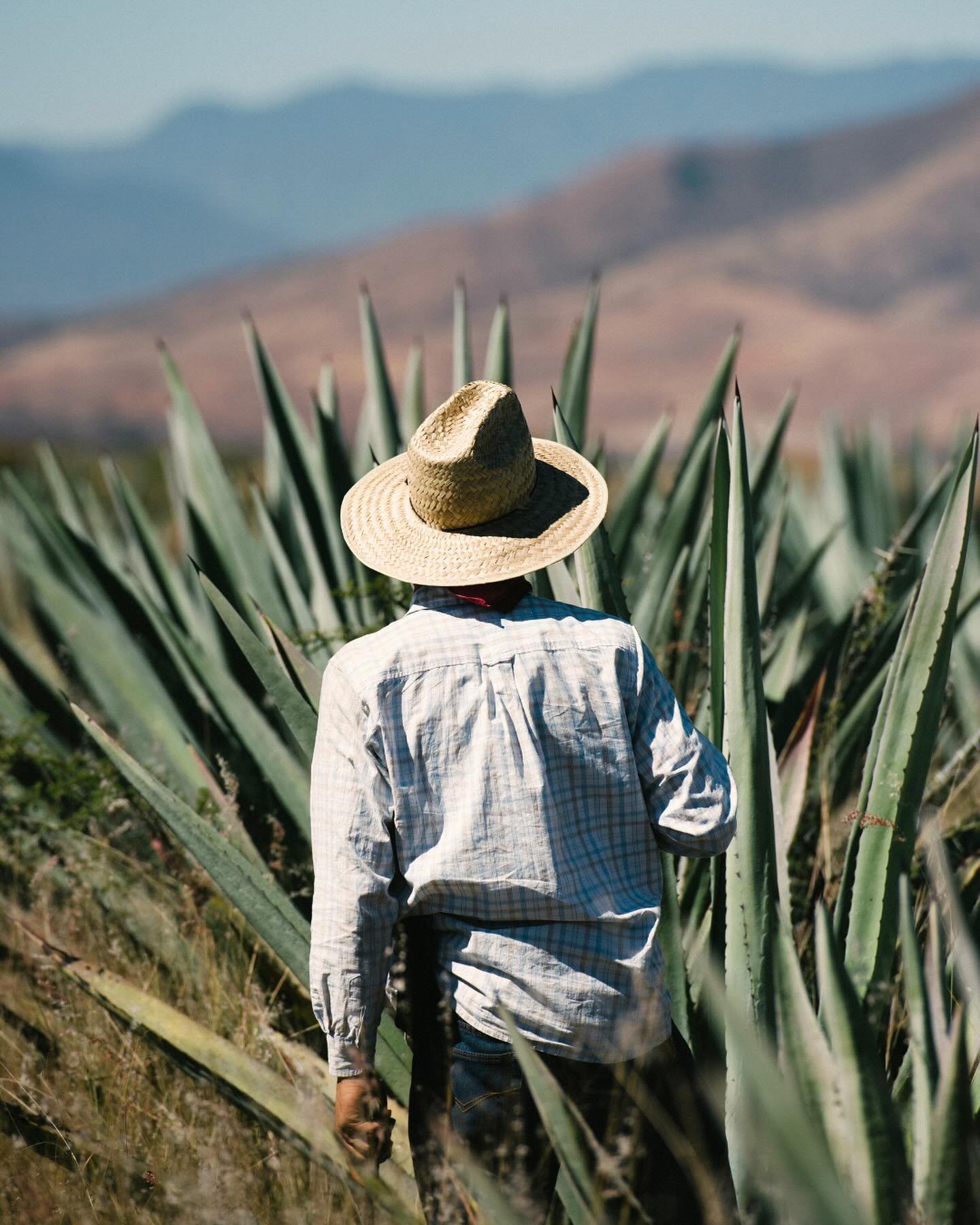 In our corner of the world, there&rsquo;s a special affection for journeys to Oaxaca. But we&rsquo;re not alone in this sentiment. Diana Davila&rsquo;s culinary journey was ignited here, amid the lively, colorful markets. This November, we have the p