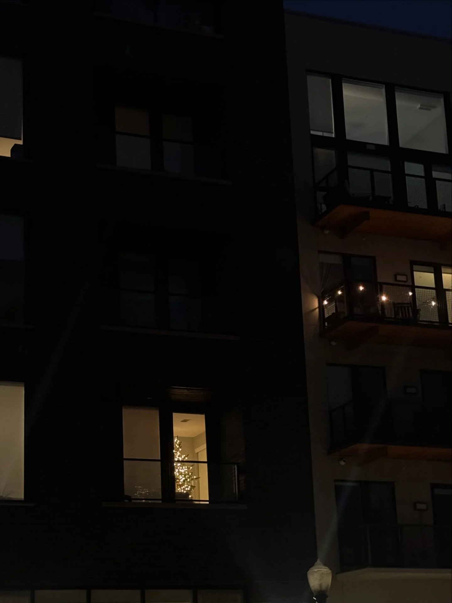 Feeling festive ‼️