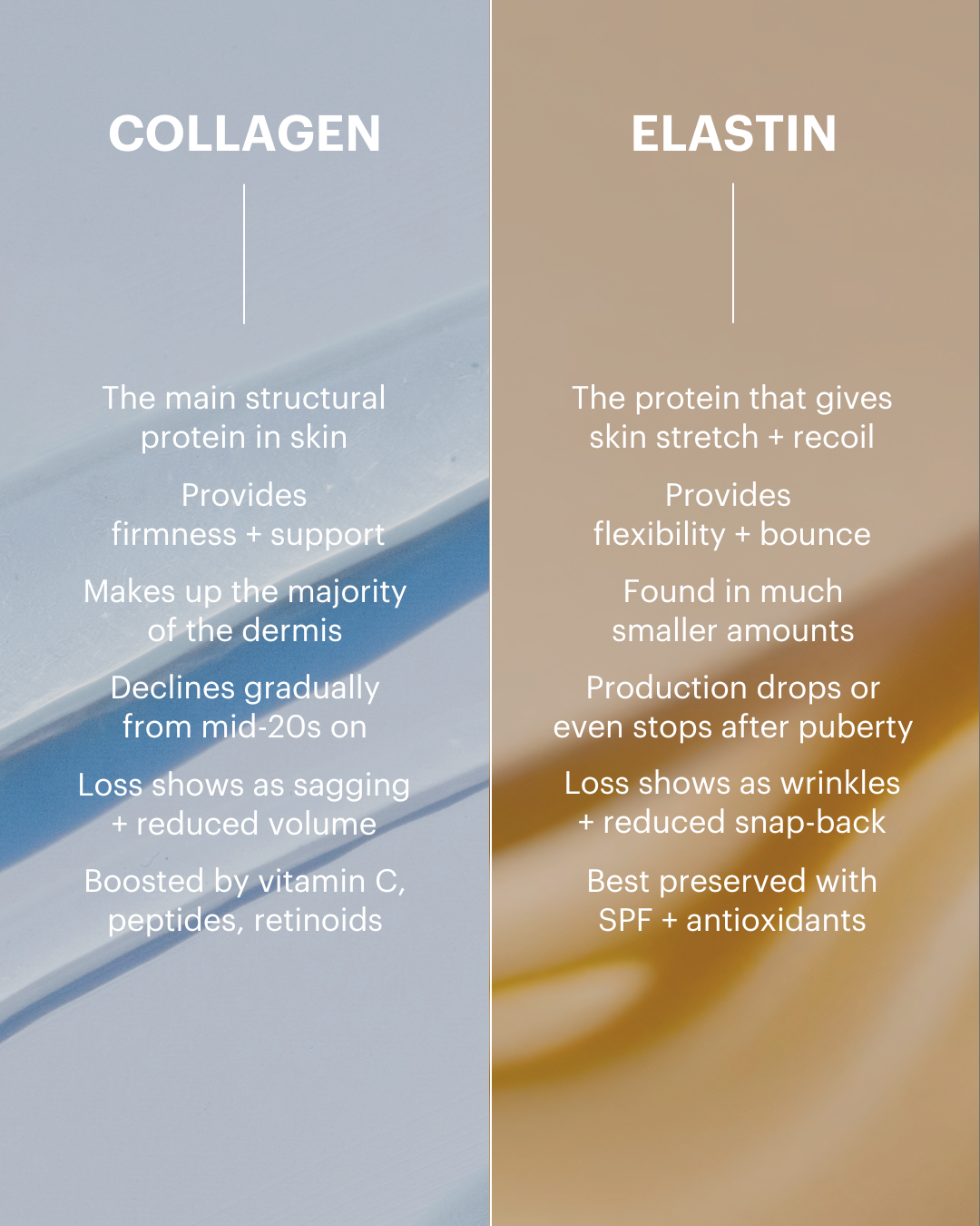 Collagen Vs Elastin Infographic - 1.png