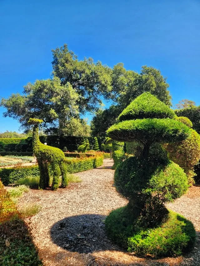 Ganna Walska Lotusland topiary