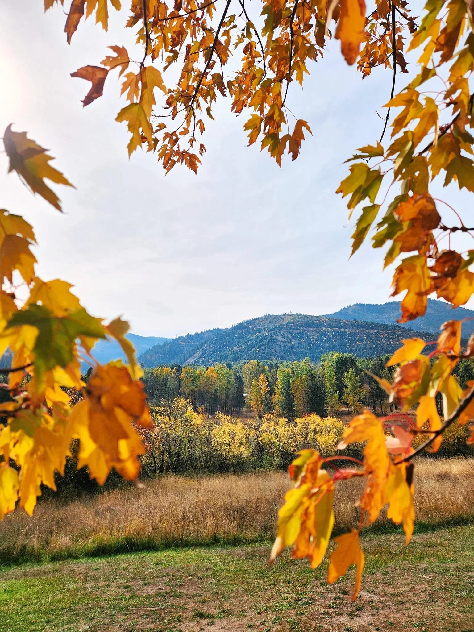 Fiery fall colors just outside CDA
