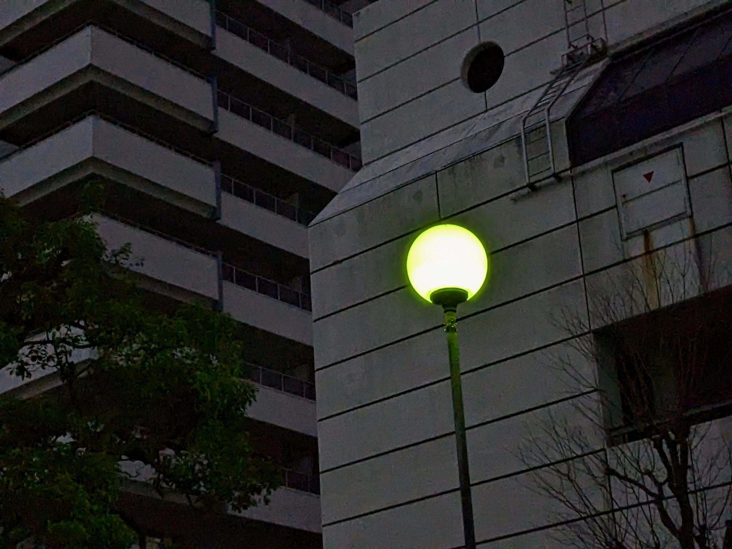 A streetlamp's light halo pierces the darkness in Yokosuka