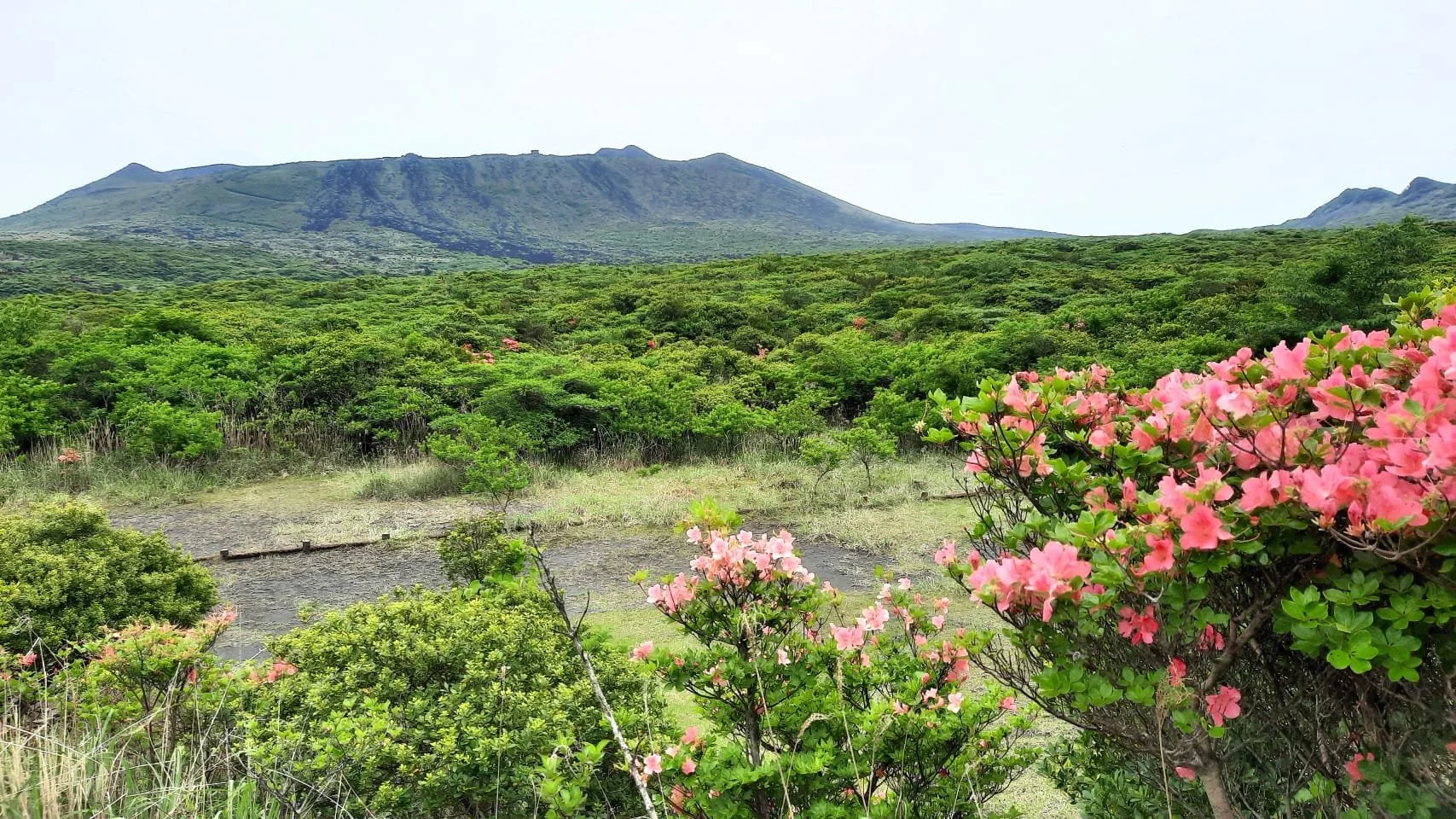 Mt. Mihara on Ōshima Island