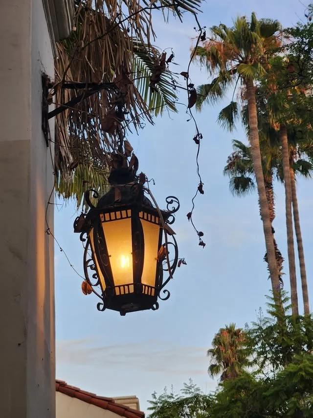 Soft, ornamental light, pre-twilight