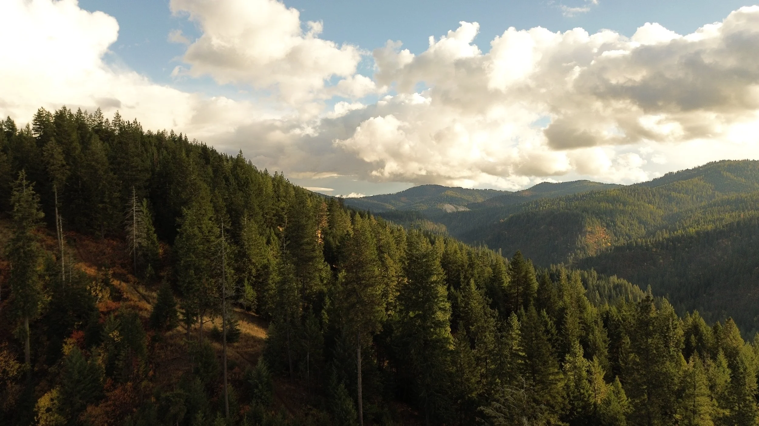 Mineral Ridge (drone shot)