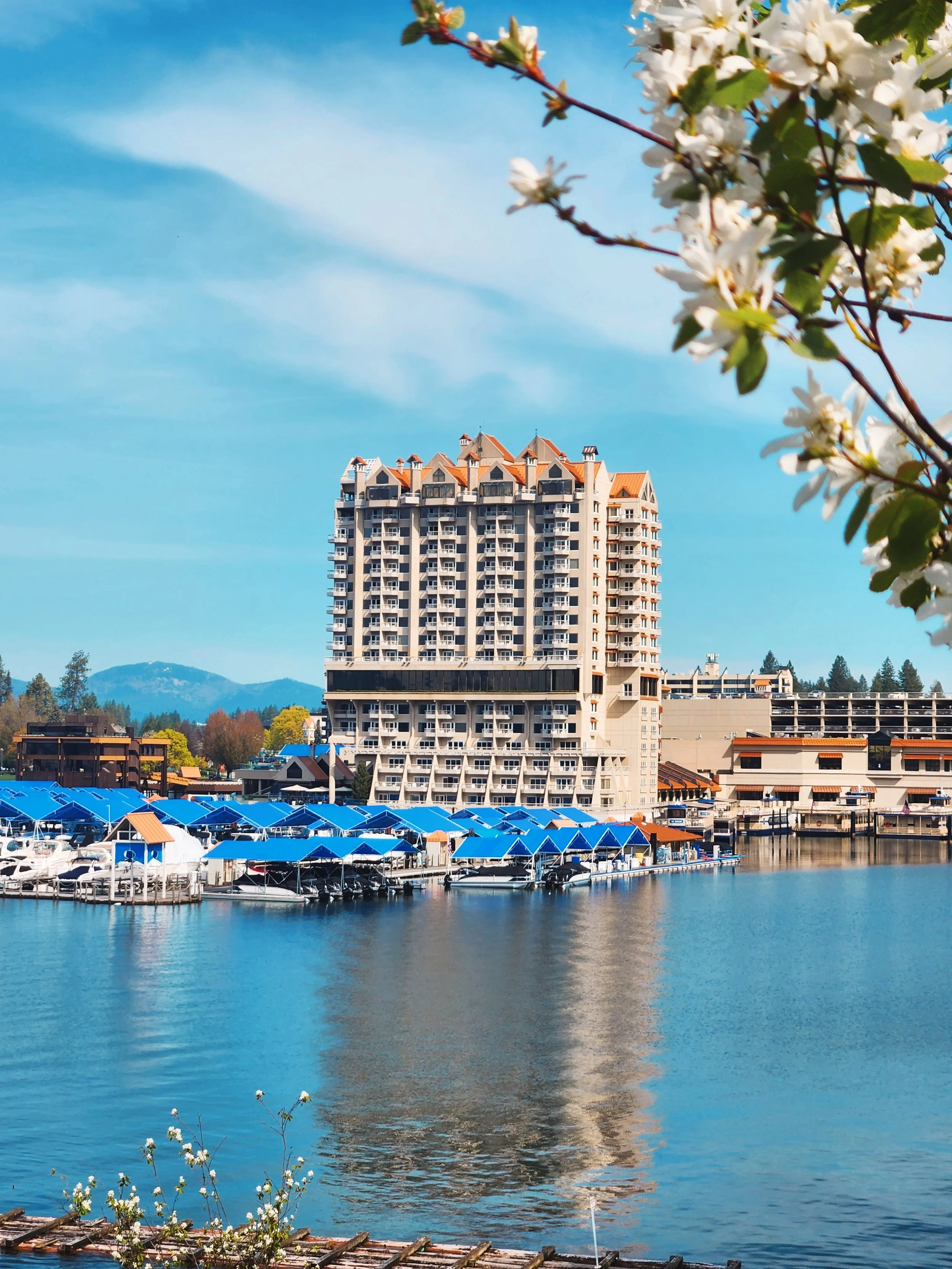 The CDA Resort in springtime