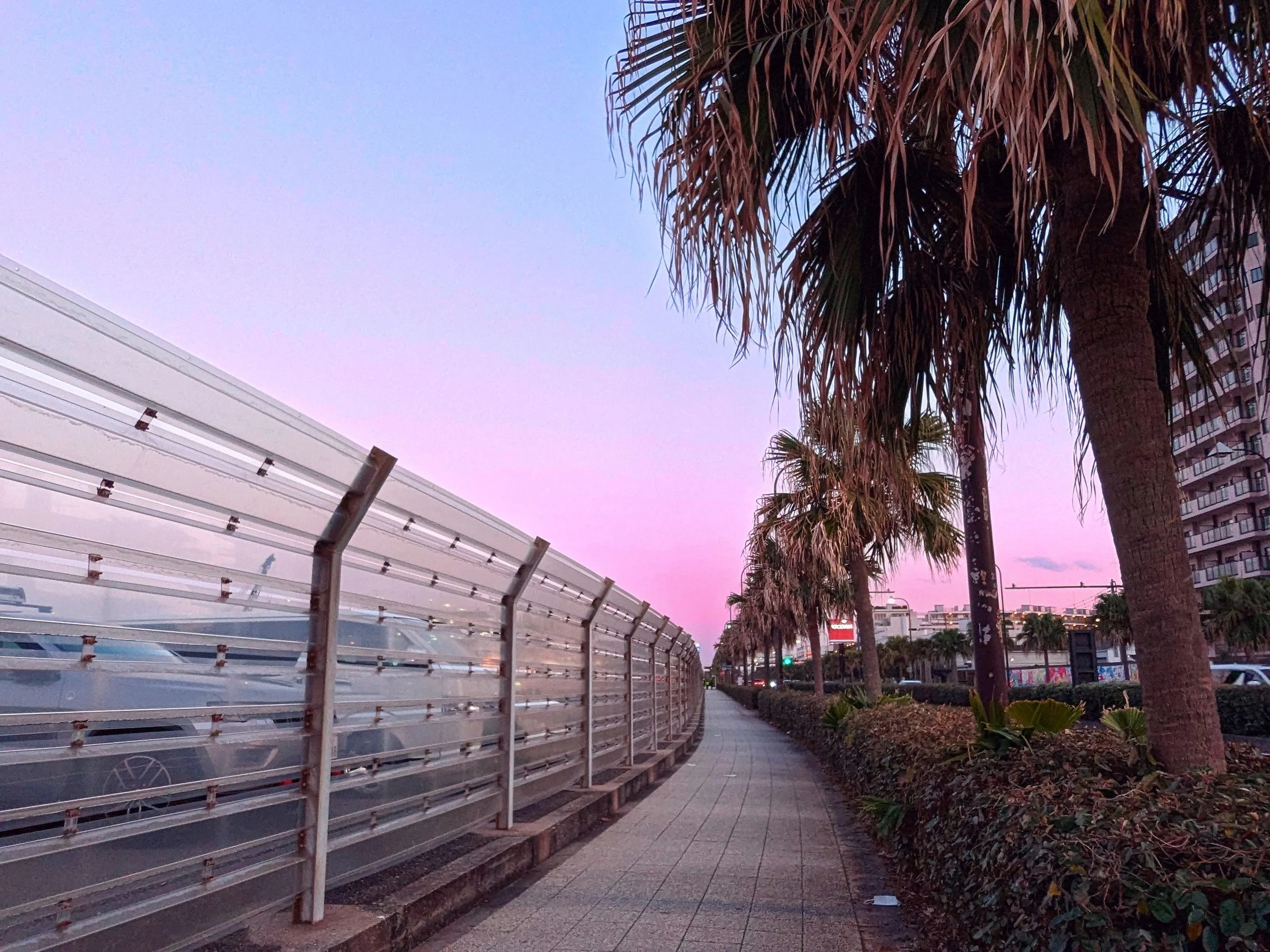 An urban, coastal walking path in Yokosuka at twilight