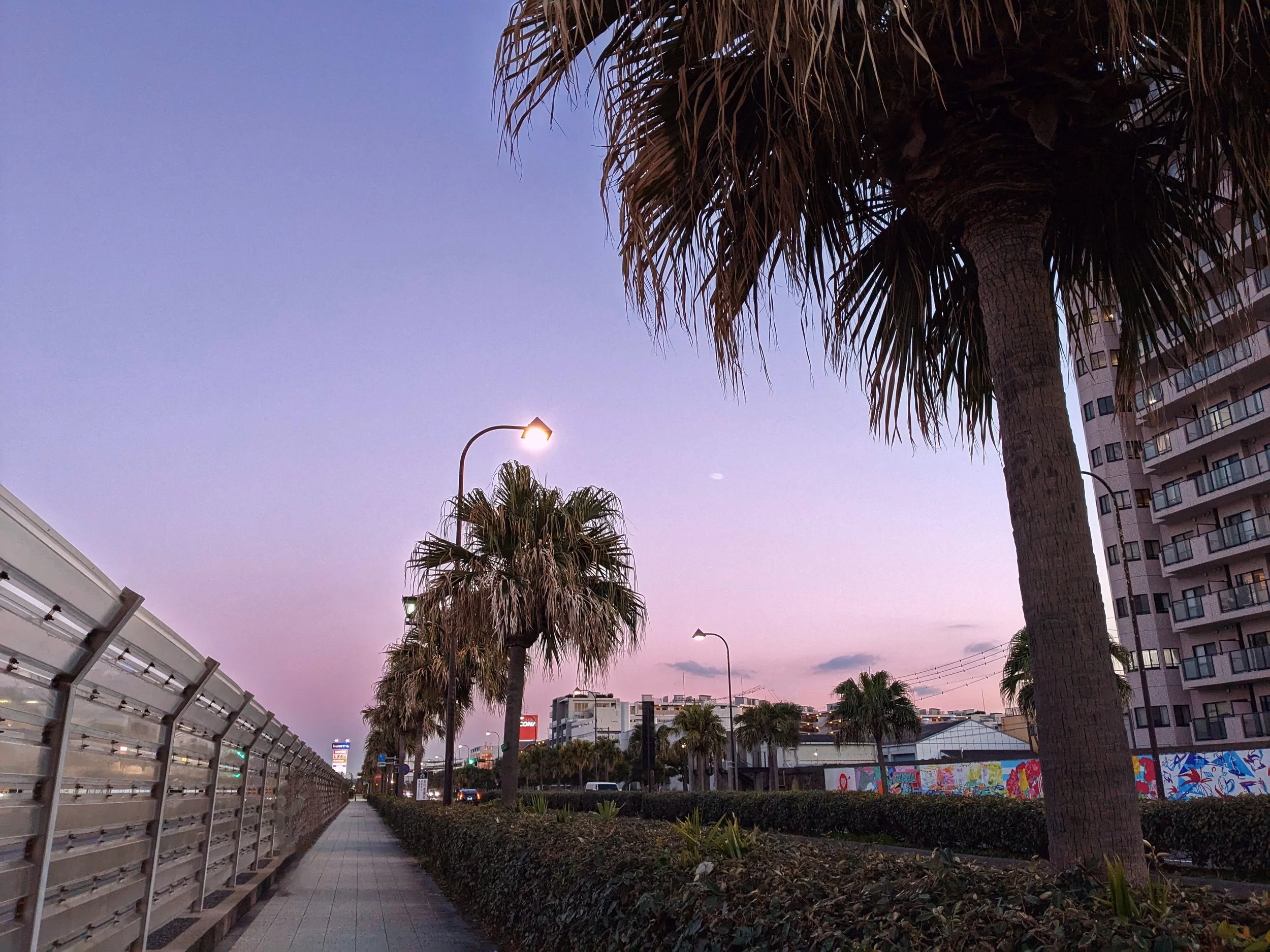 An urban, coastal walking path in Yokosuka at twilight