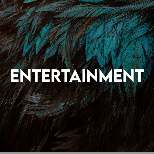Blue feathers with entertainment text