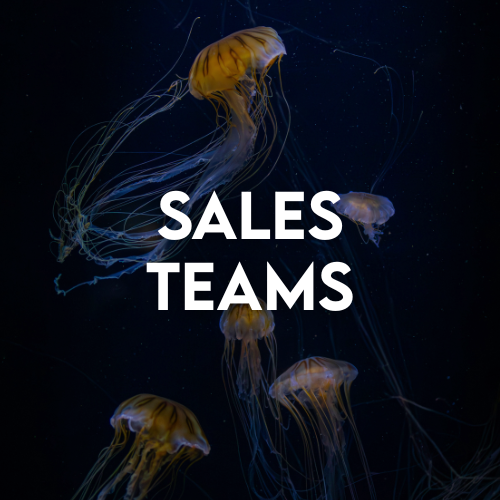 Jellyfish background with Sales Teams Text