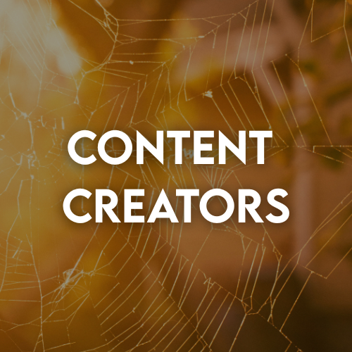 Yellow spider web image