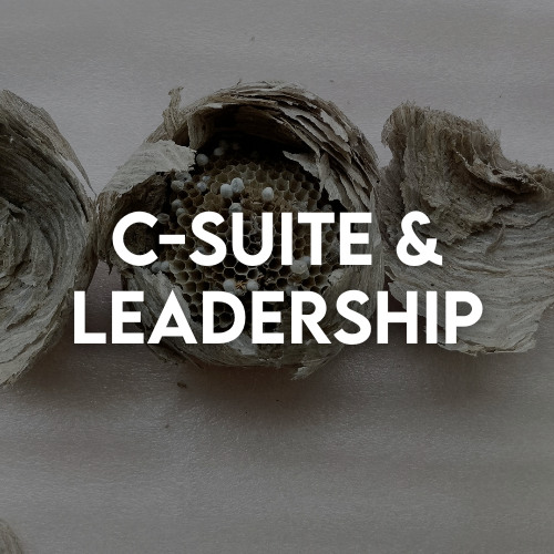 Beehive with c-suite and leadership text