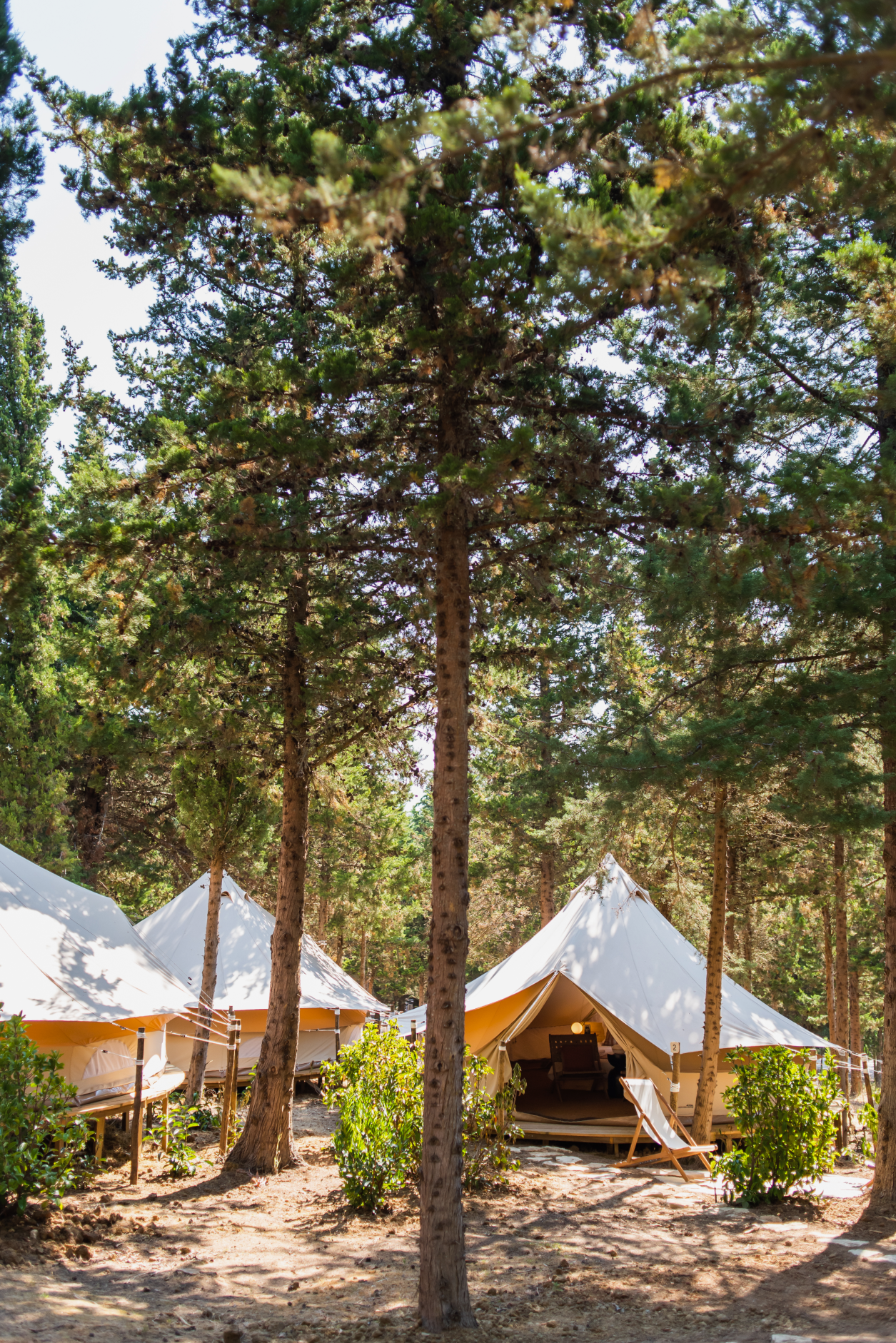 glamping 2.png
