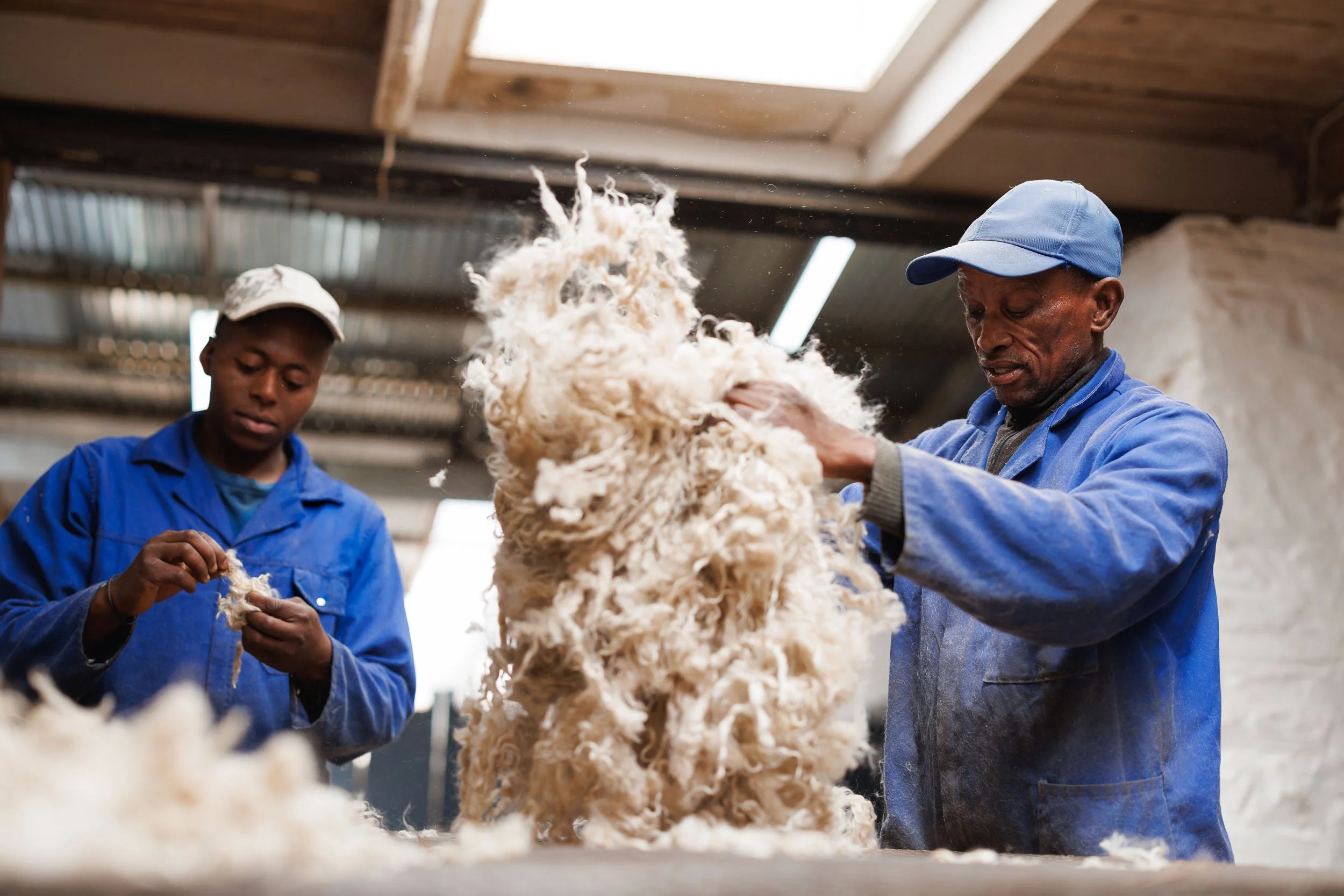 mohair-goats-msa-20.jpg