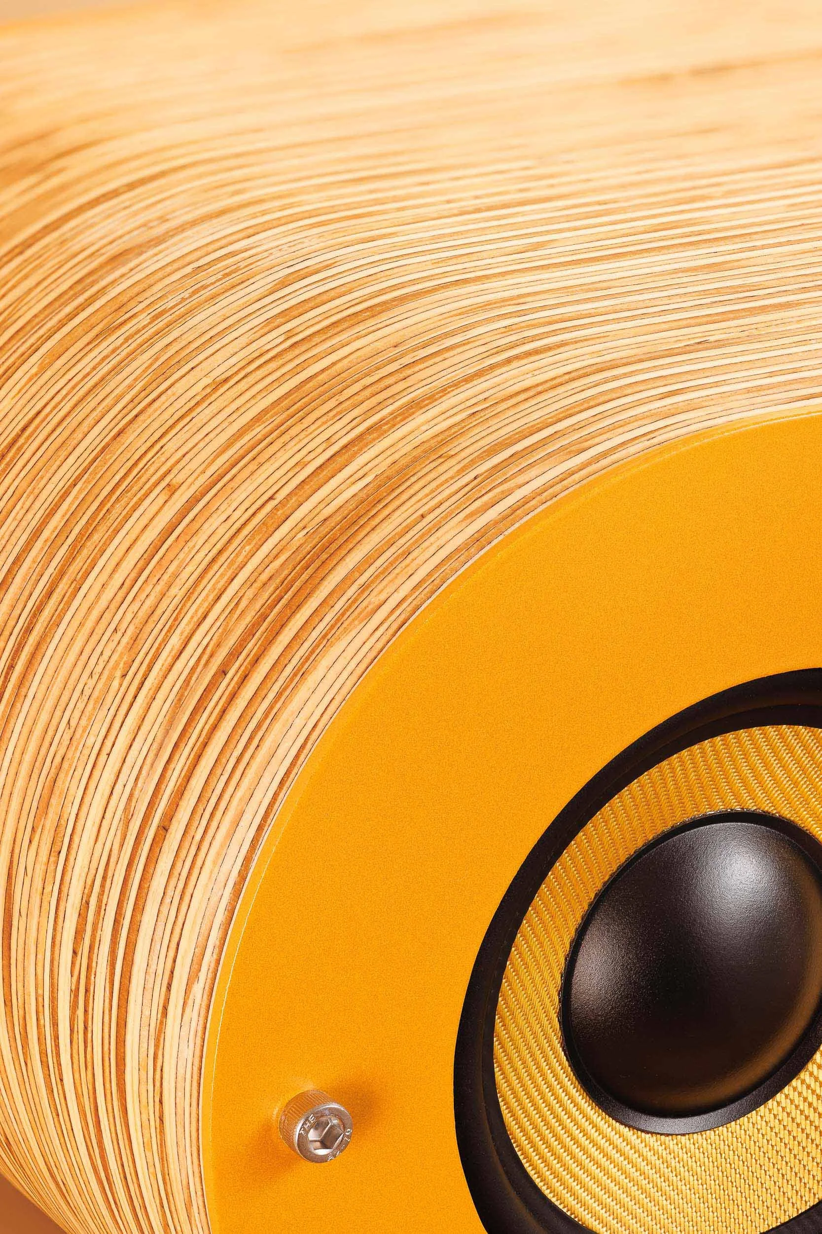 Close-up of Fourier Acoustics Boomslang woofer cone with amber textured surround set into curved laminated wood body