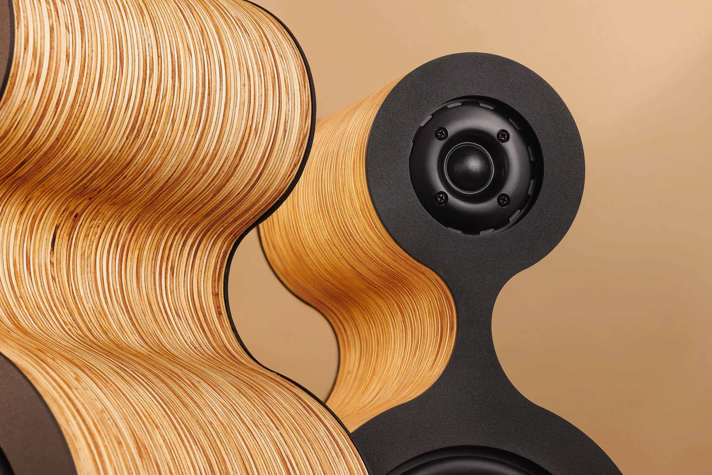 Detail of Fourier Acoustics speaker tweeter in matte black circular baffle against sculpted layered plywood body