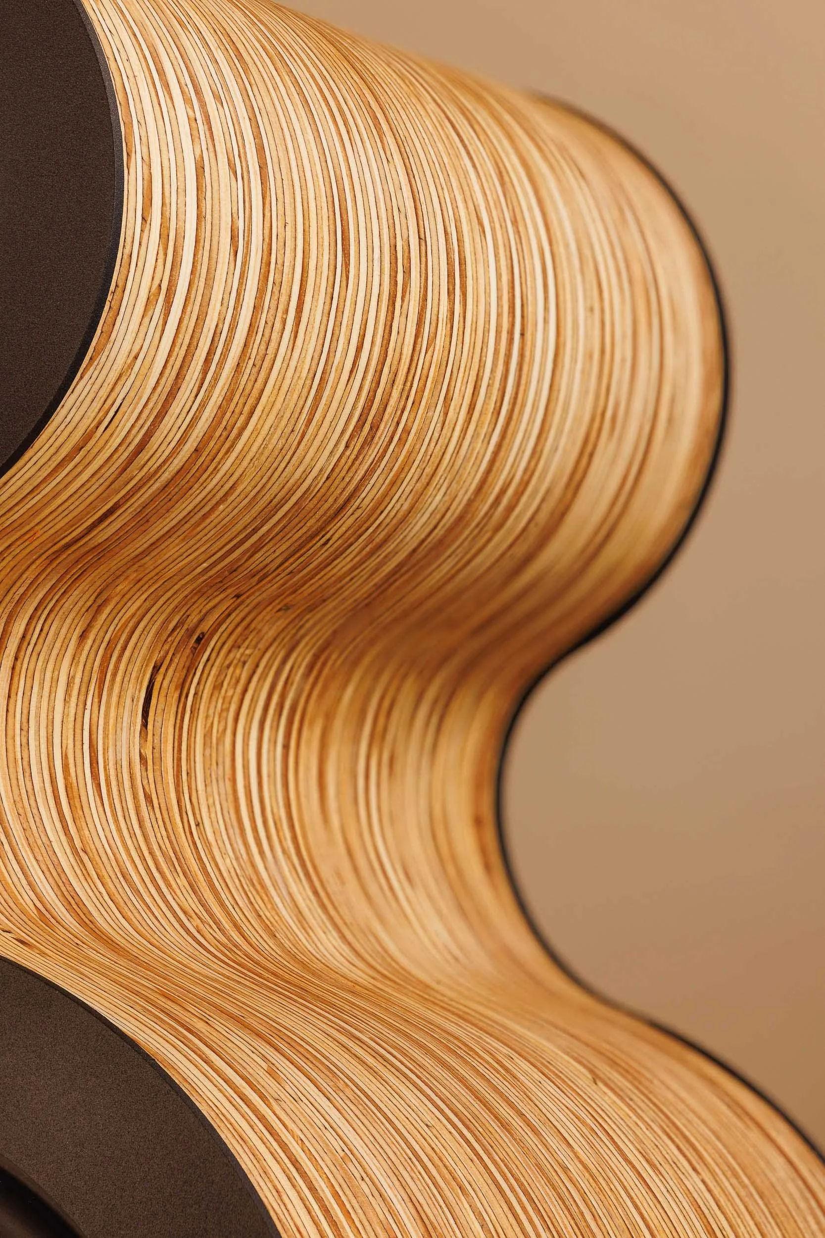 Close-up of Fourier Acoustics speaker's curved laminated plywood edge showing fine layered wood grain detail