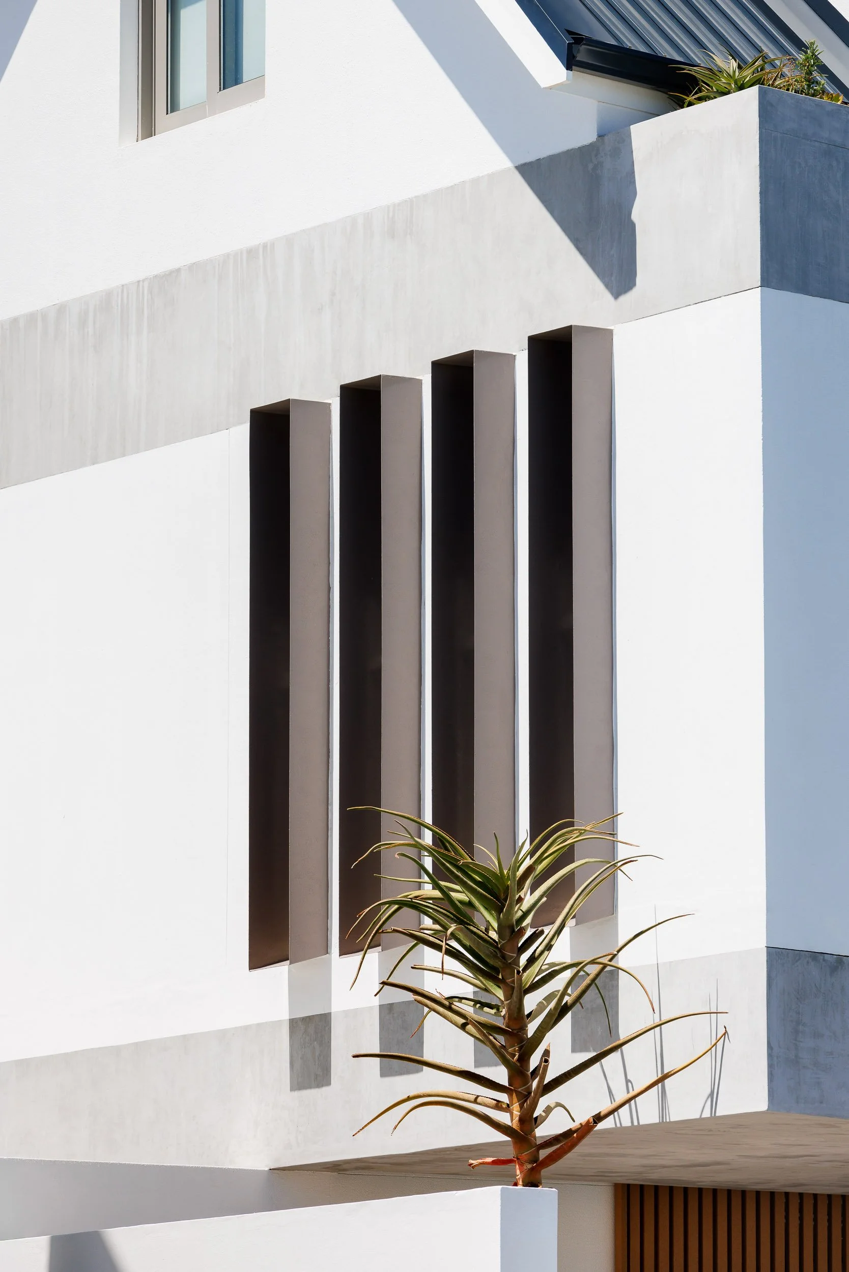 White rendered facade detail with three deep-set dark bronze vertical fin louvres and spiky aloe plant