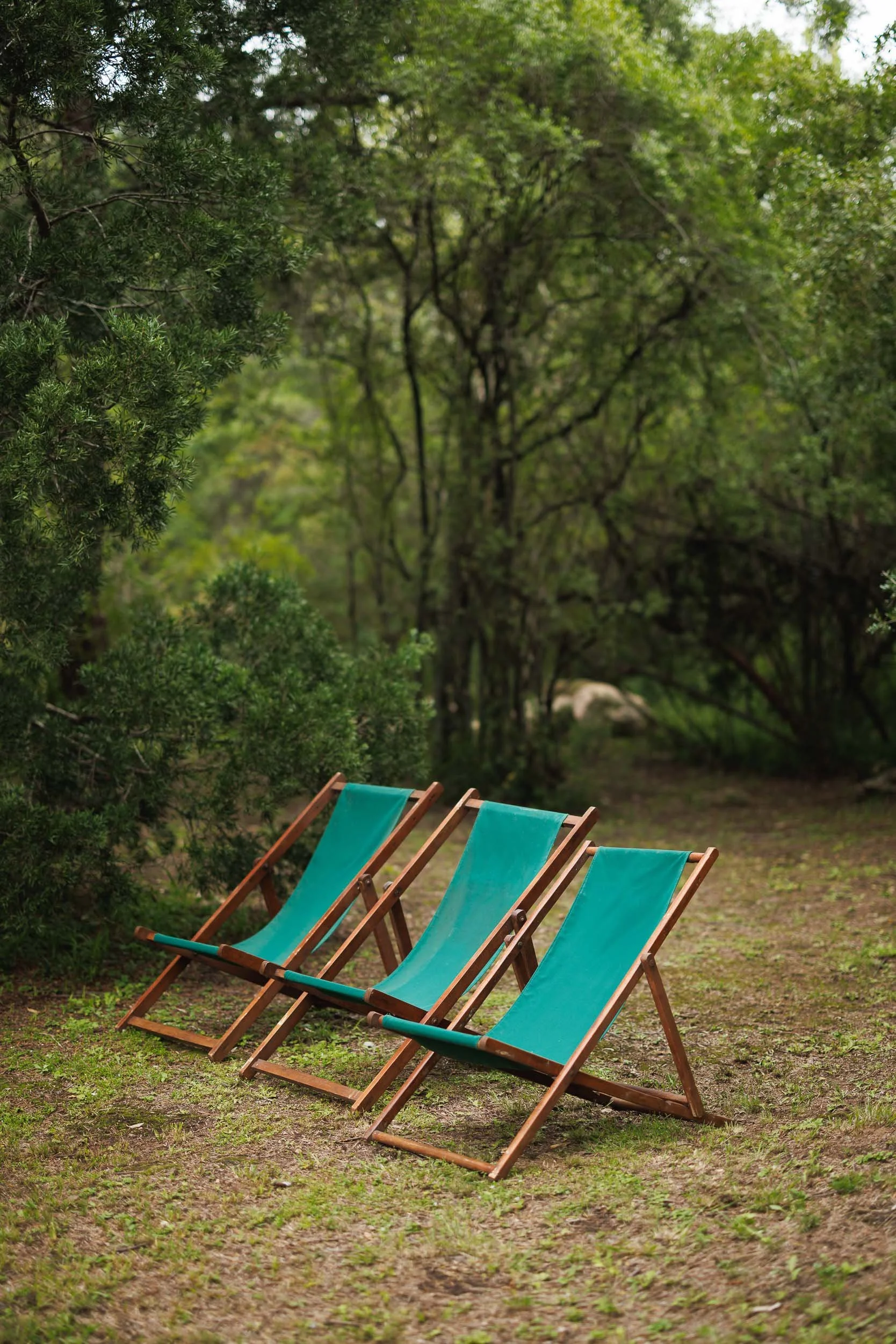 Four turquoise folding lounge chairs arranged in a row on a dirt and grass path in a wooded area.