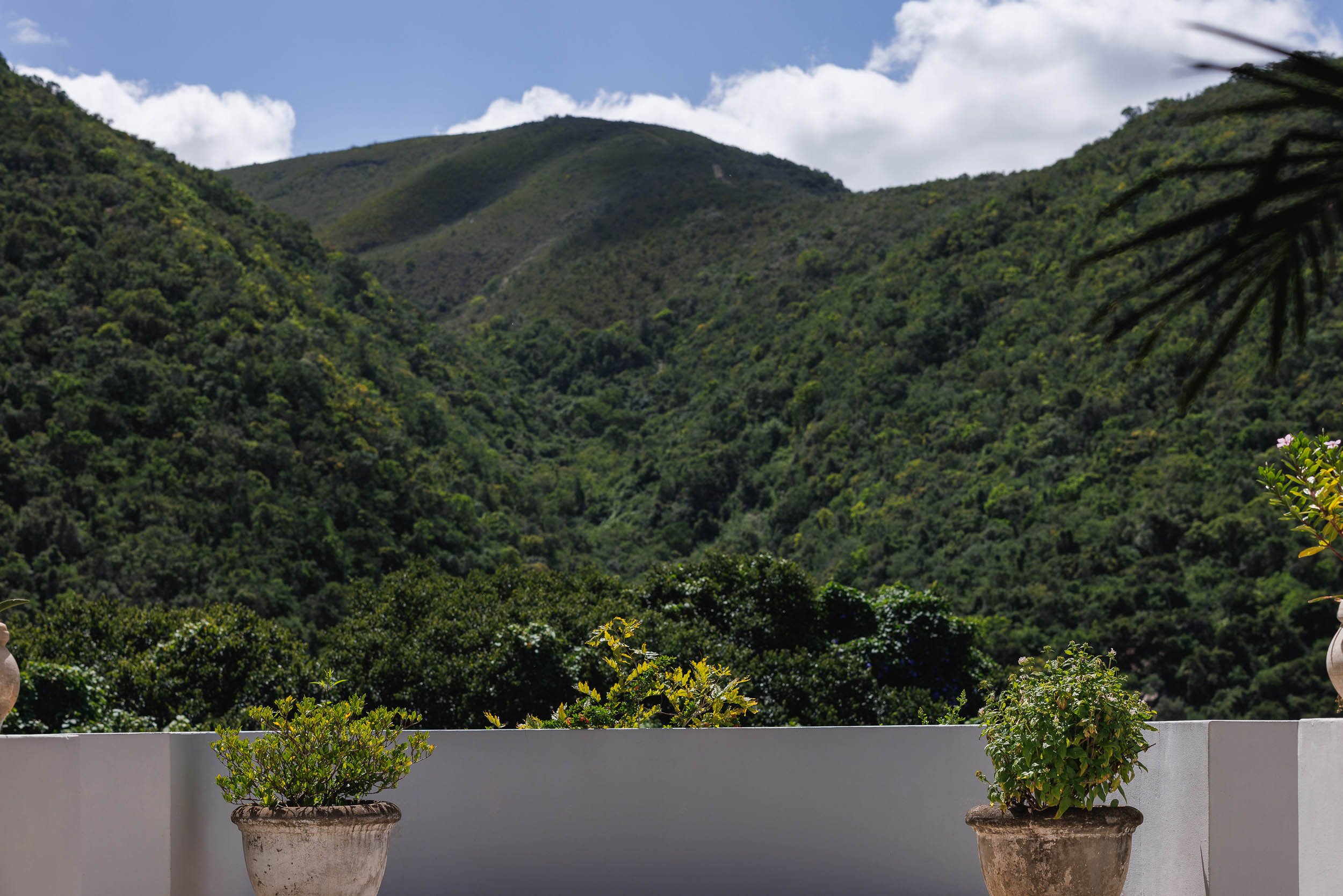 View of lush green mountains under partly cloudy sky, seen from a terrace with potted plants in the foreground.