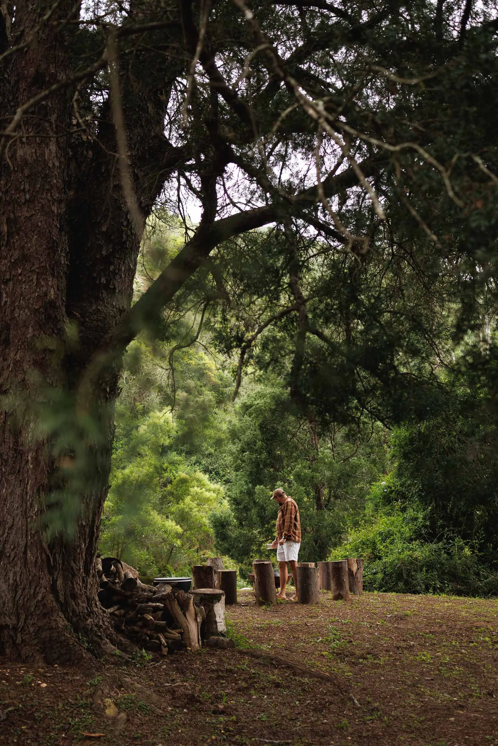 A man in a plaid shirt and shorts stands outdoors near a tree, surrounded by lush green nature and wood logs, with a clear sky overhead.