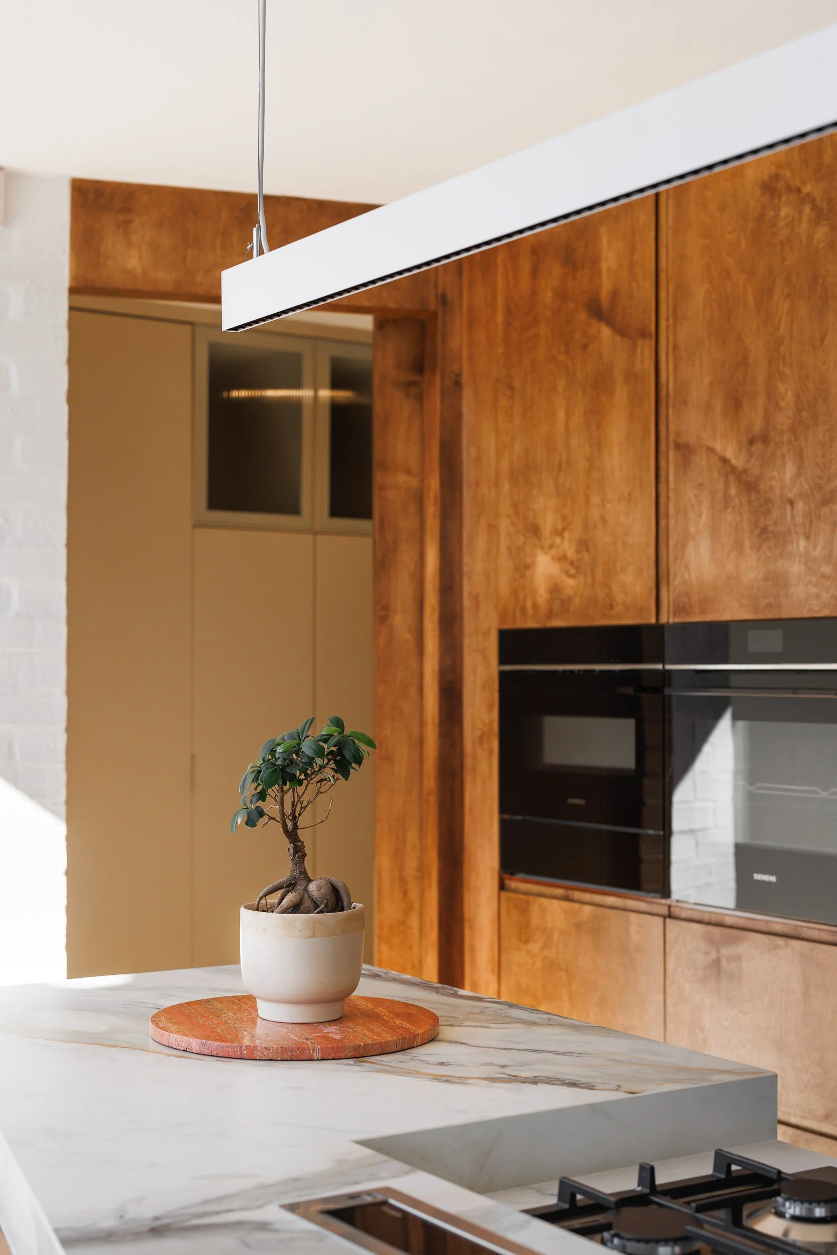 A modern kitchen with a white marble island, a potted bonsai tree on a wooden tray, and wooden cabinetry in the background.
